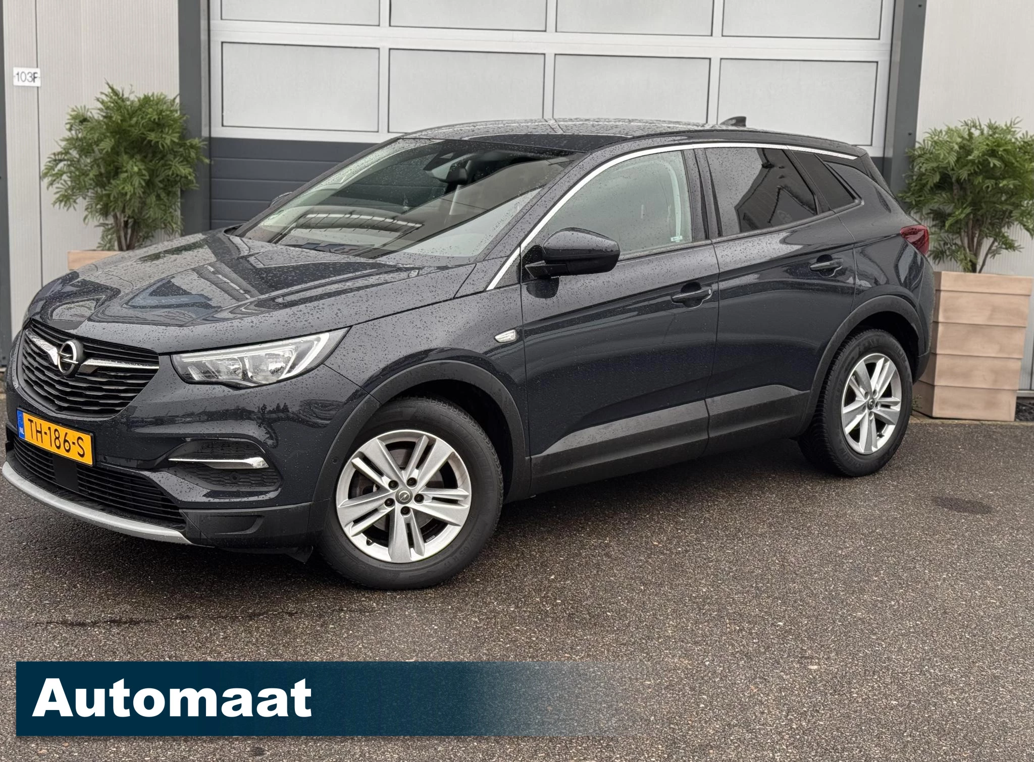 Hoofdafbeelding Opel Grandland X