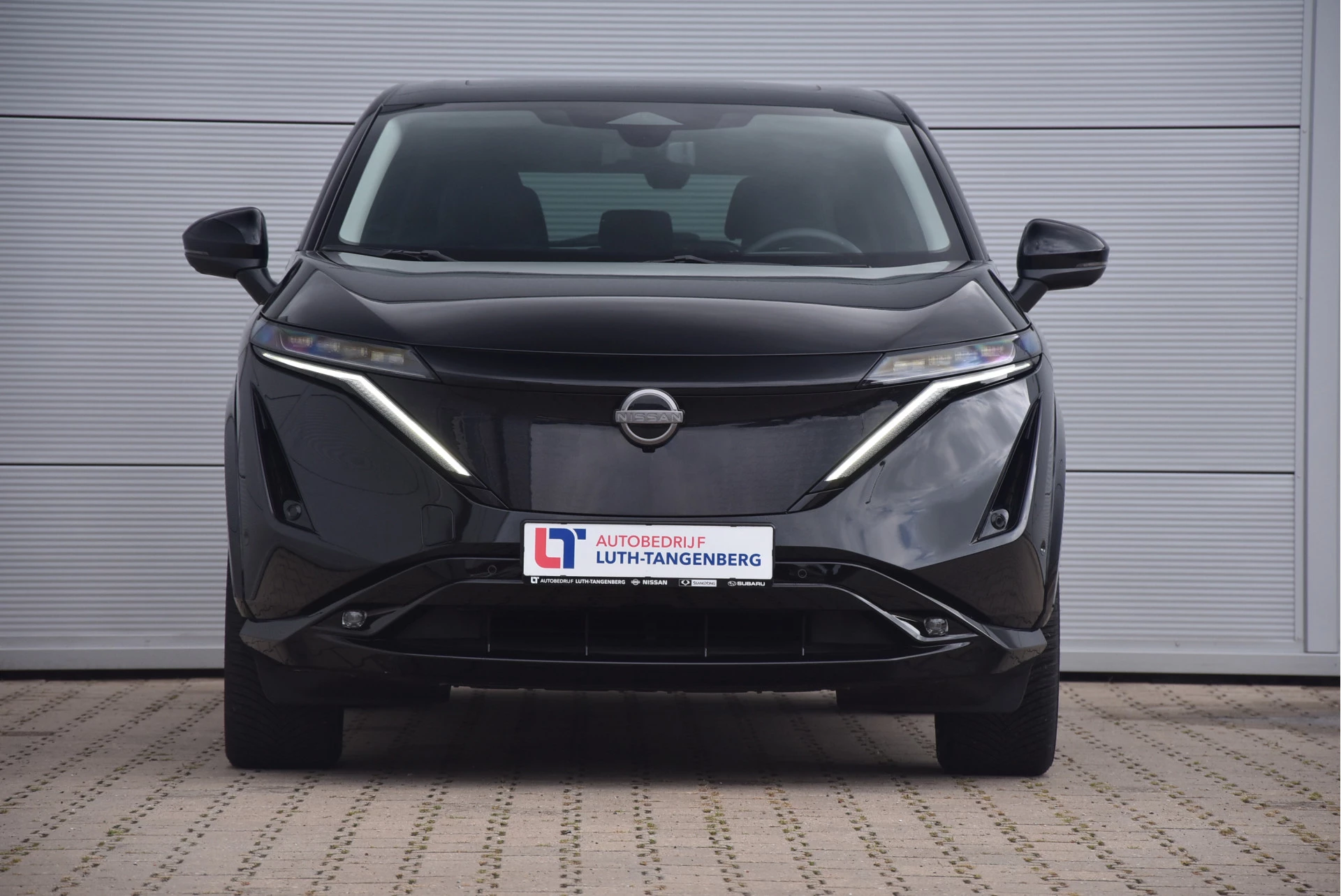 Hoofdafbeelding Nissan ARIYA