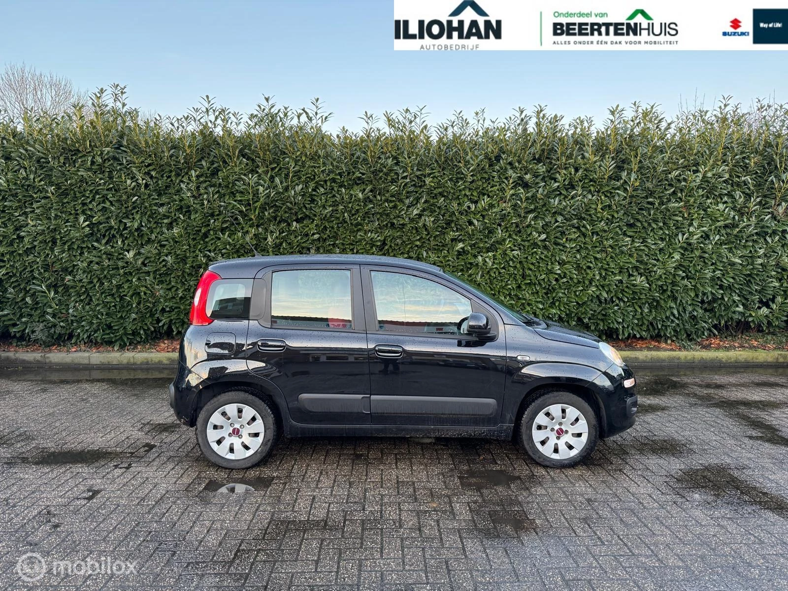 Hoofdafbeelding Fiat Panda