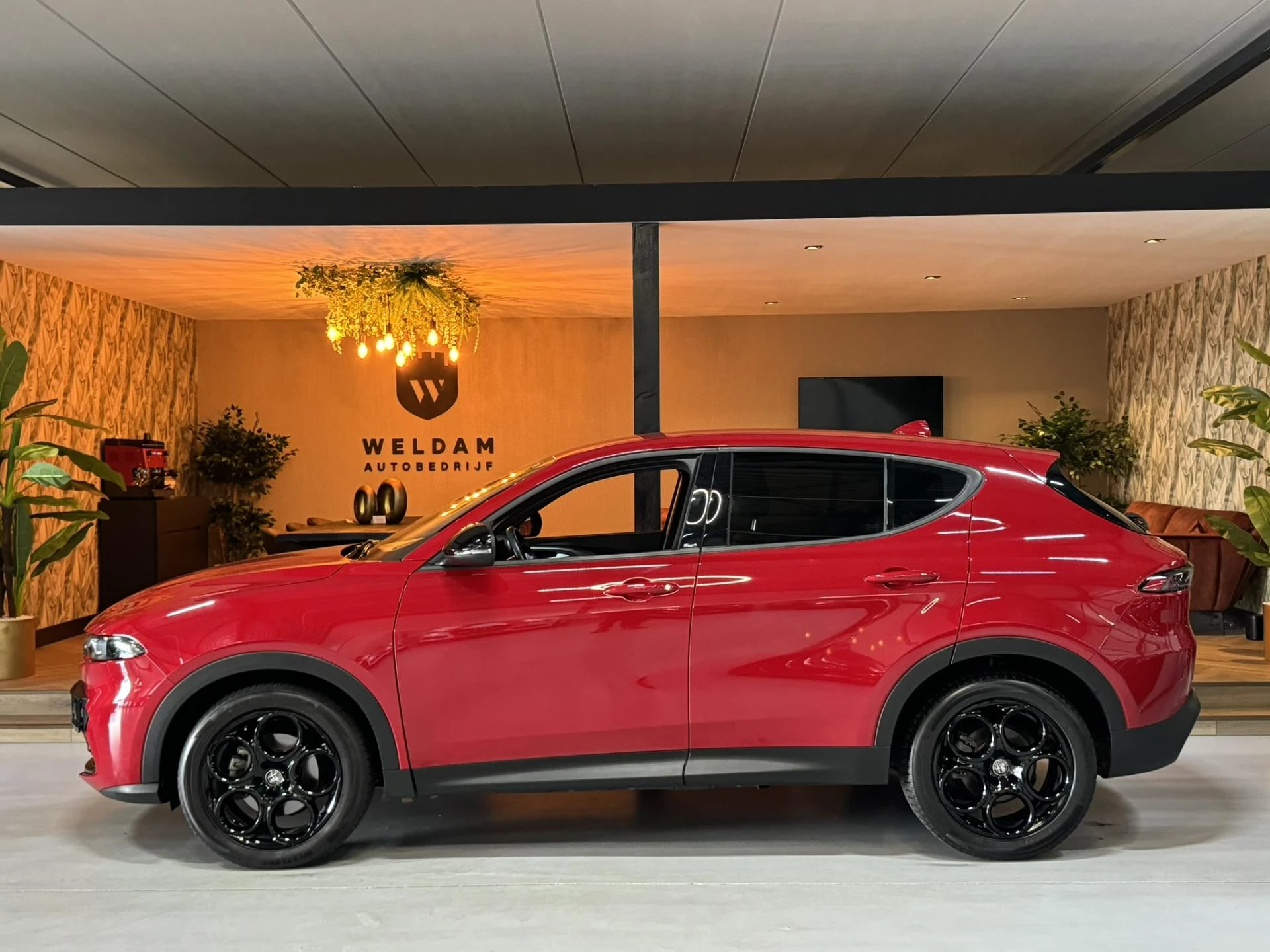 Hoofdafbeelding Alfa Romeo Tonale