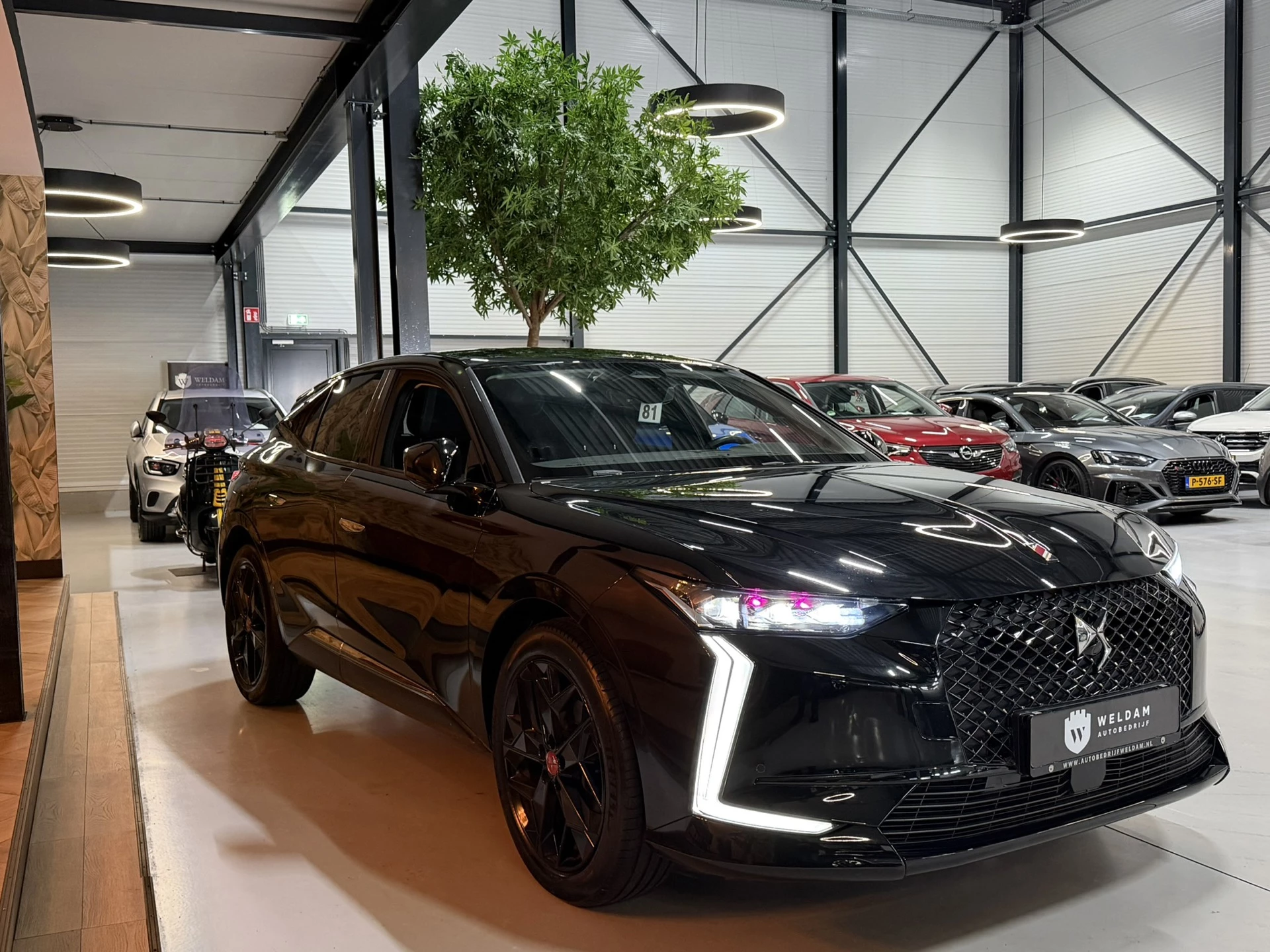 Hoofdafbeelding DS DS 4
