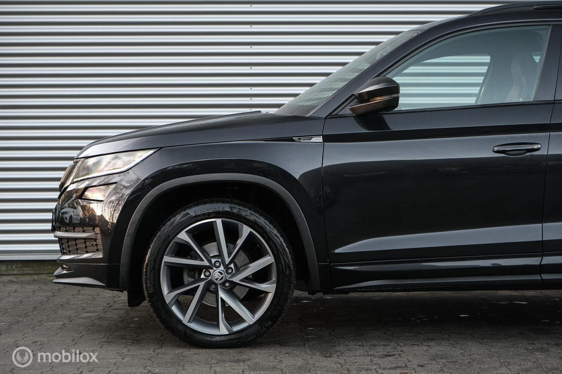 Hoofdafbeelding Škoda Kodiaq