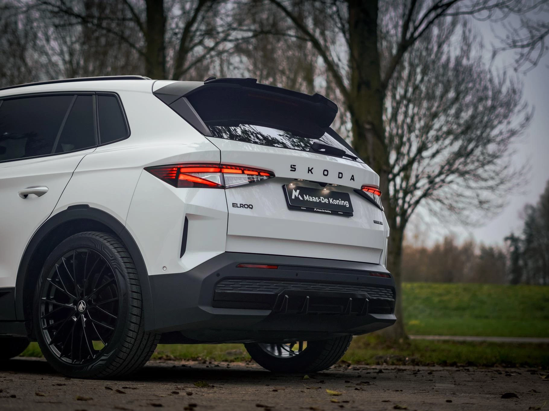 Hoofdafbeelding Škoda Elroq