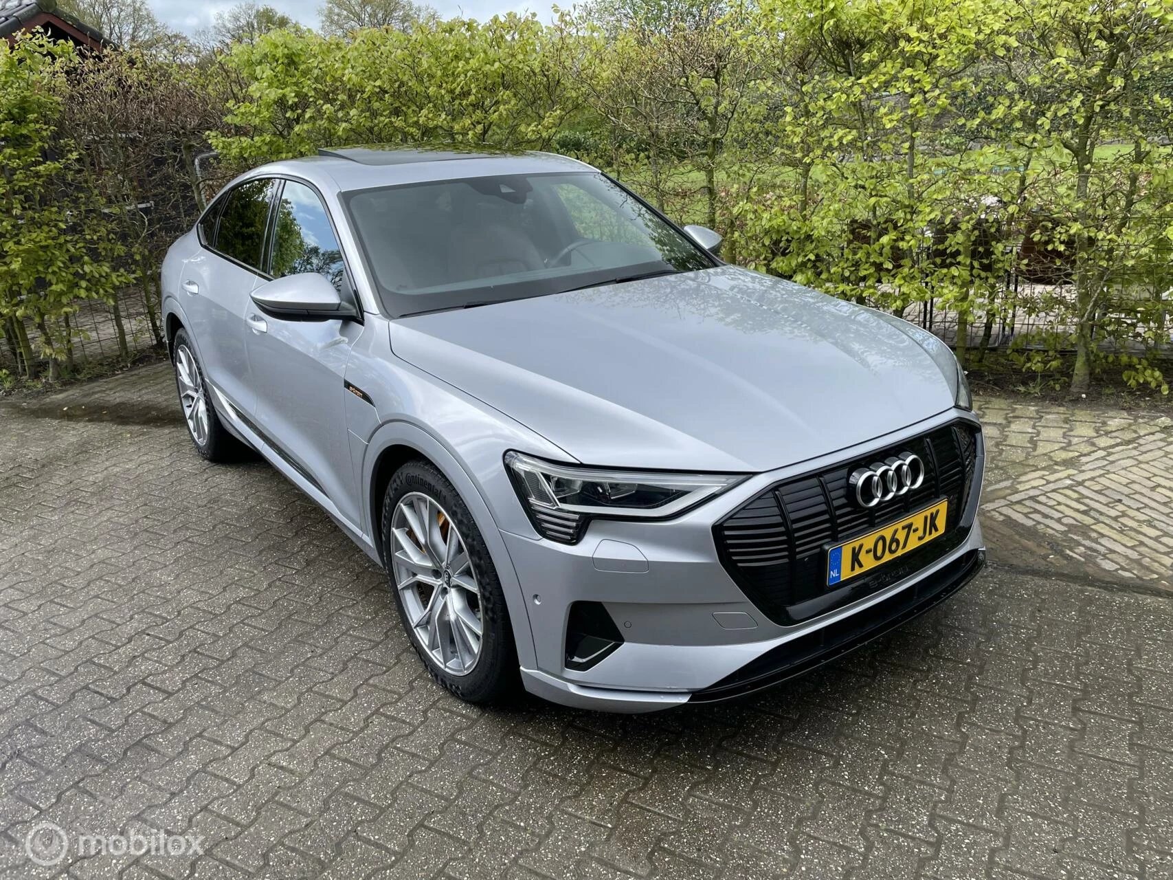 Hoofdafbeelding Audi e-tron