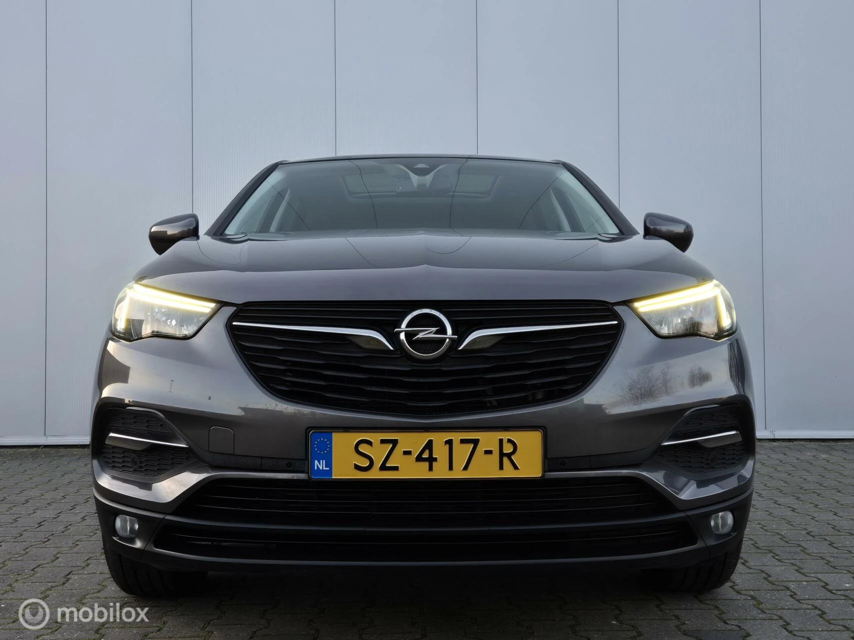 Hoofdafbeelding Opel Grandland X