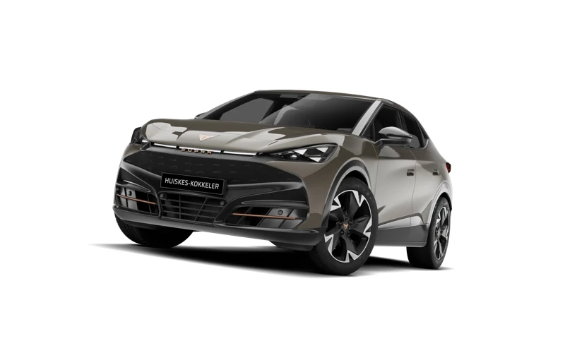 Hoofdafbeelding CUPRA Tavascan