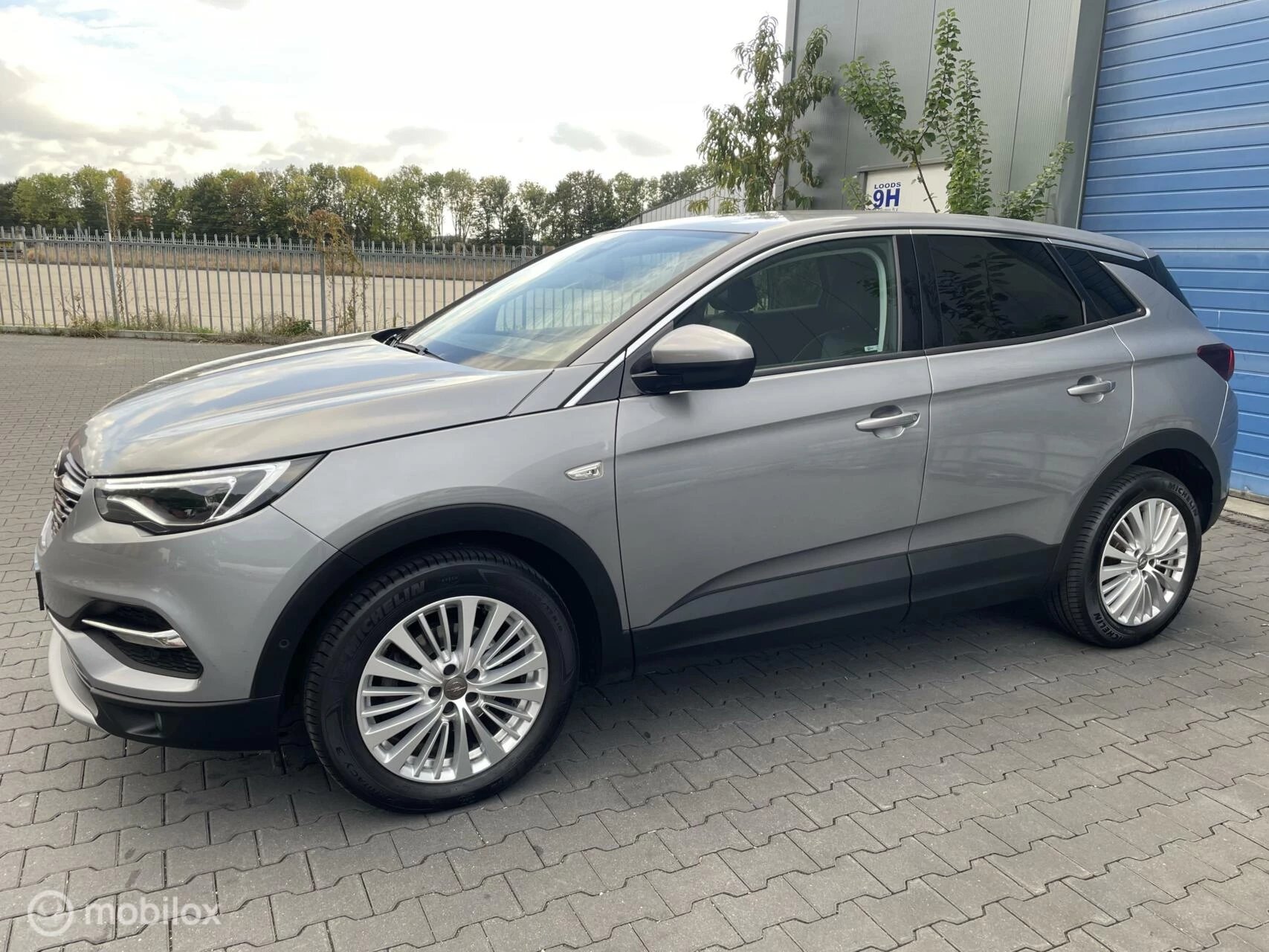 Hoofdafbeelding Opel Grandland X