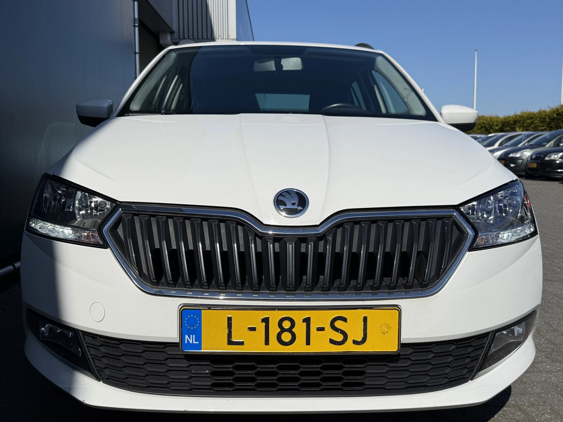 Hoofdafbeelding Škoda Fabia
