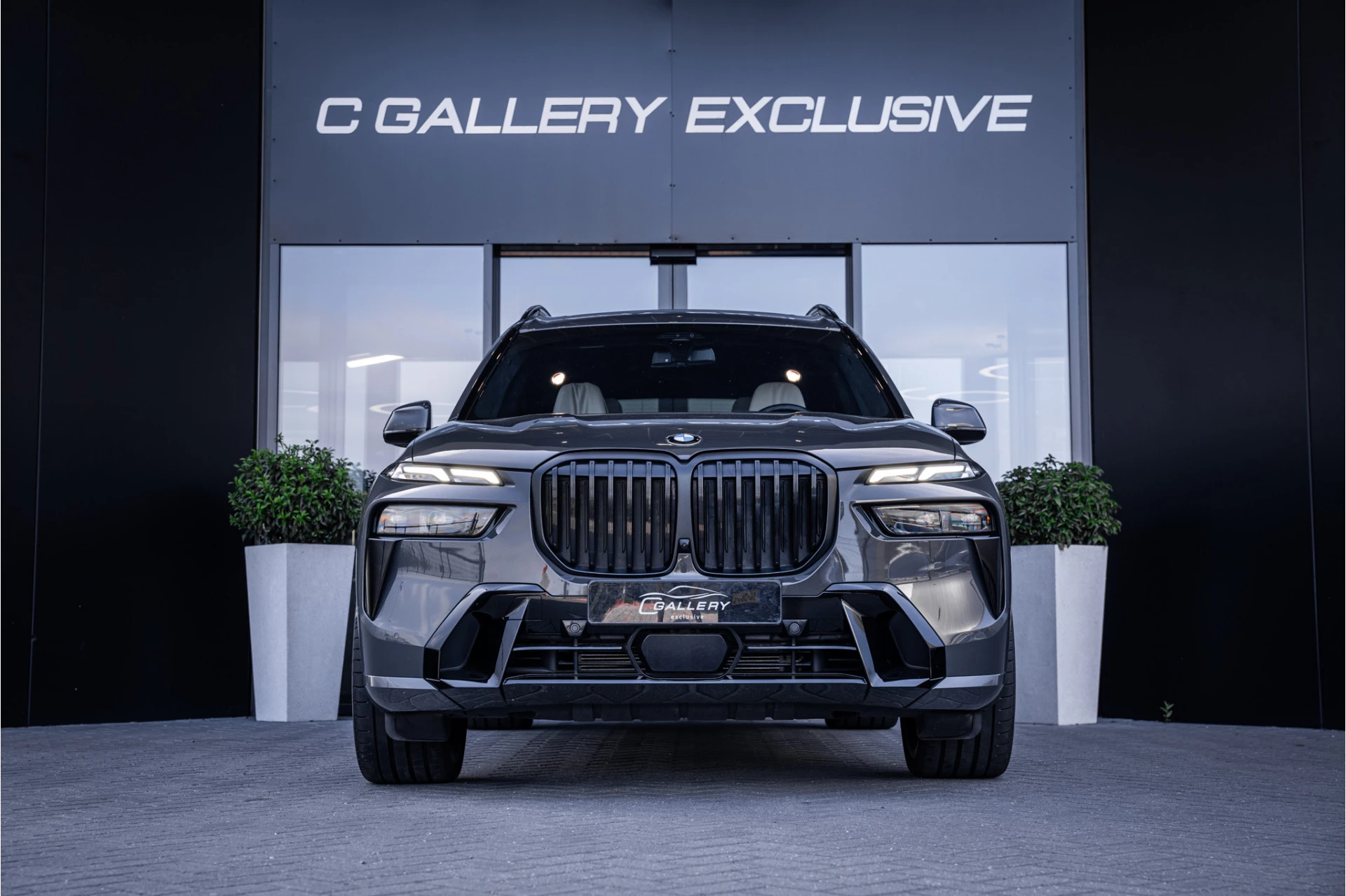Hoofdafbeelding BMW X7