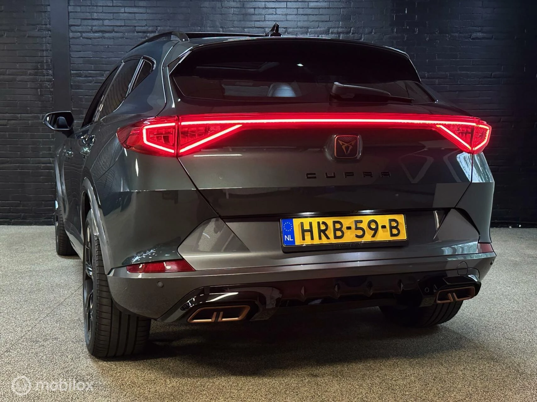 Hoofdafbeelding CUPRA Formentor