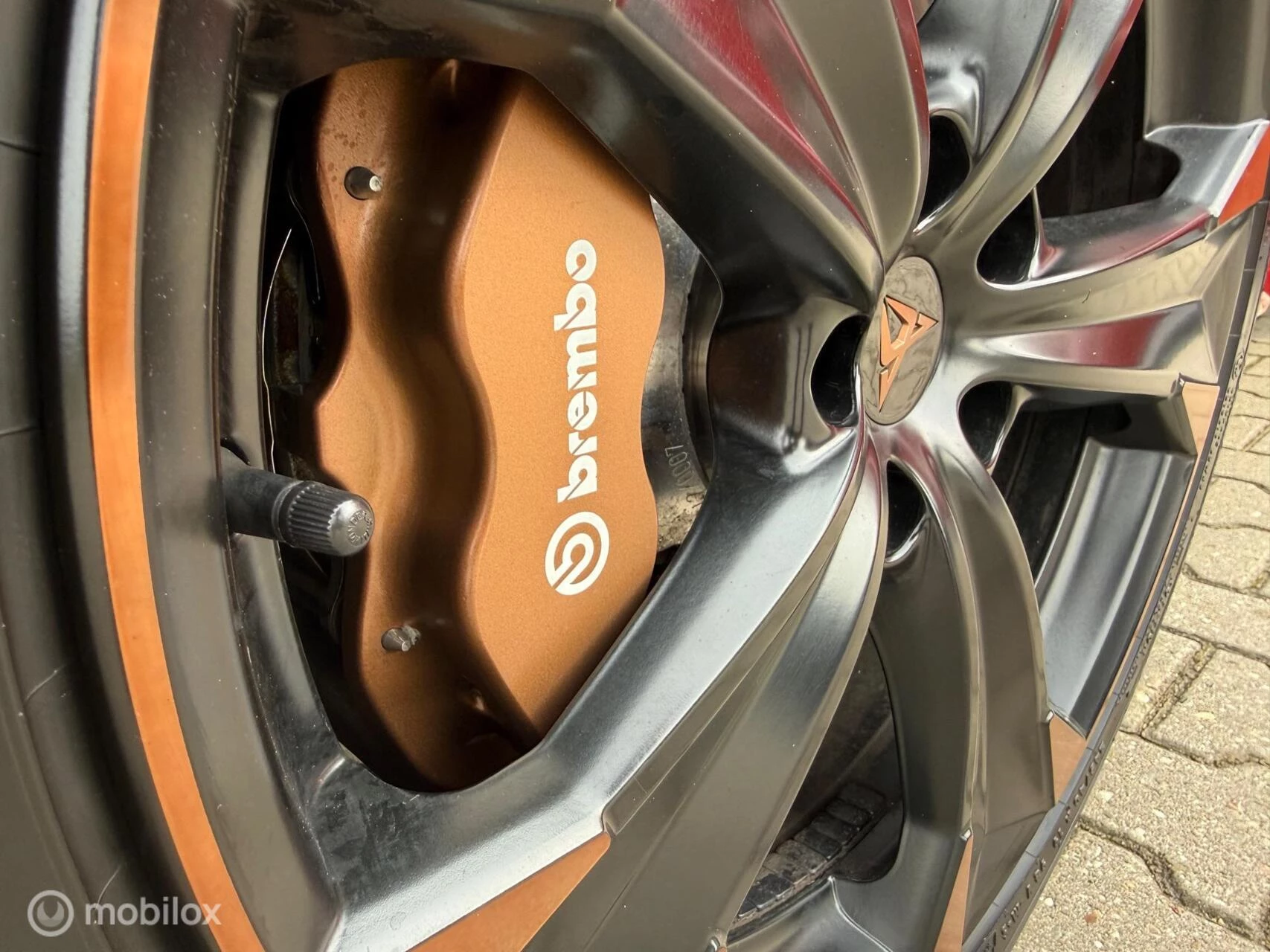 Hoofdafbeelding CUPRA Ateca