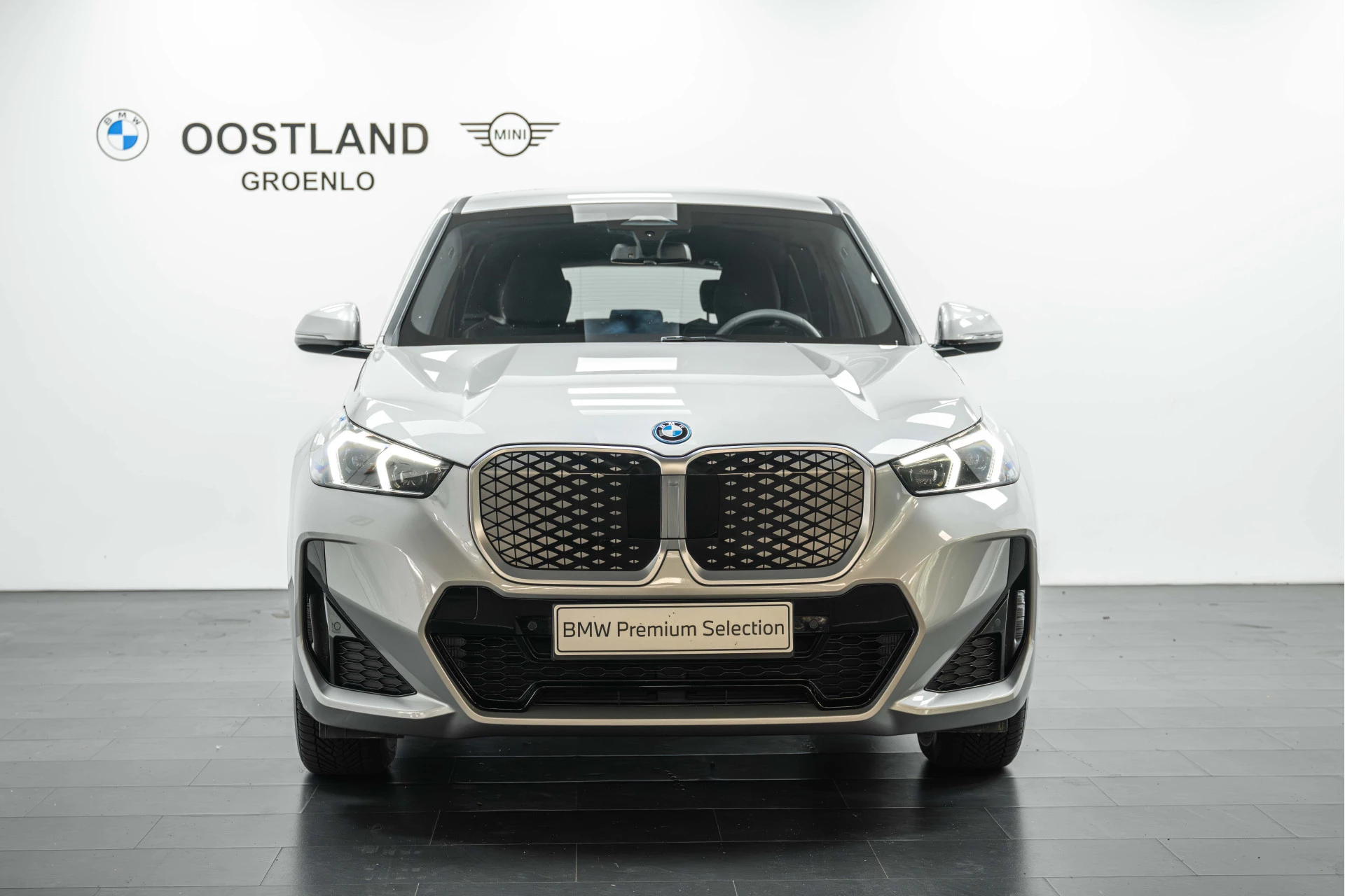 Hoofdafbeelding BMW iX1