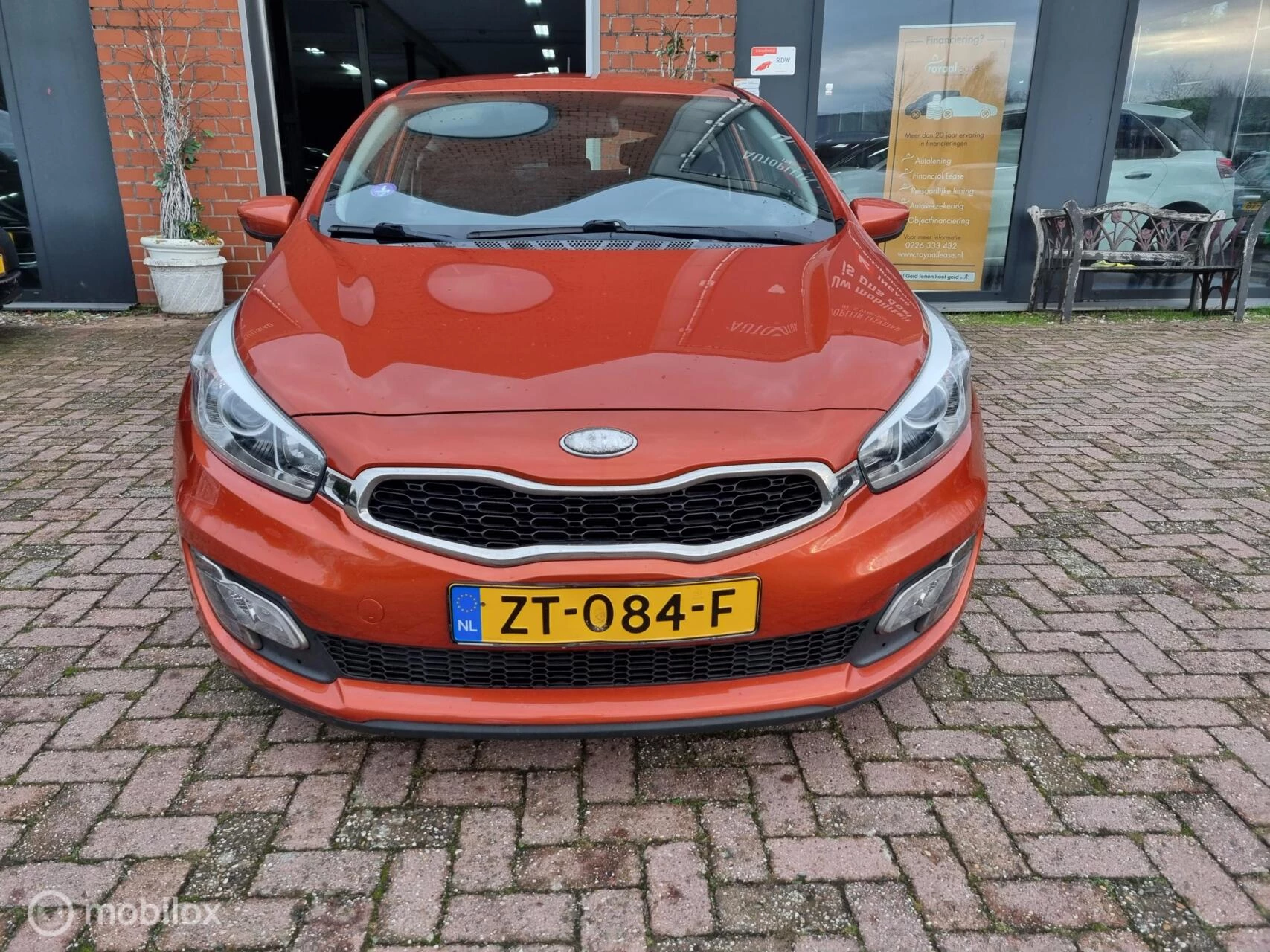 Hoofdafbeelding Kia pro_cee'd