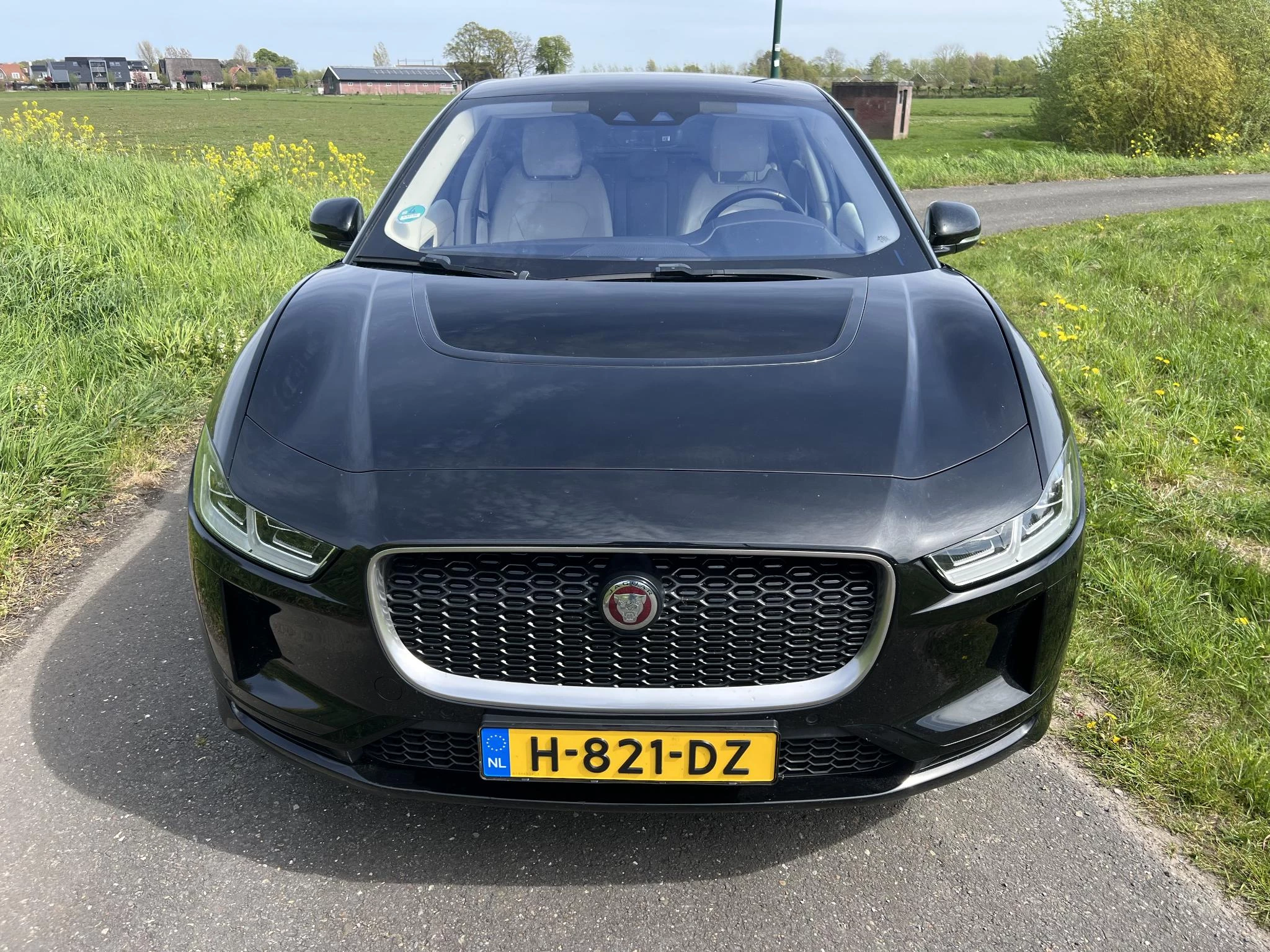 Hoofdafbeelding Jaguar I-PACE