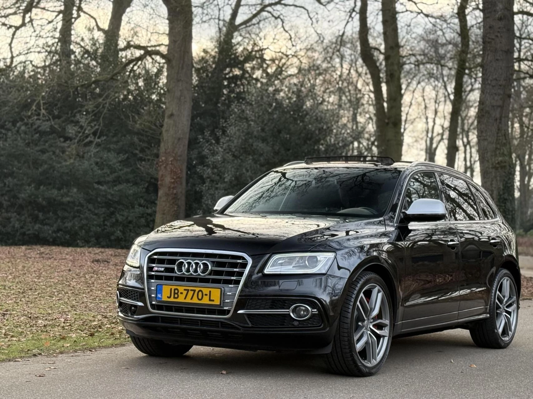 Hoofdafbeelding Audi SQ5