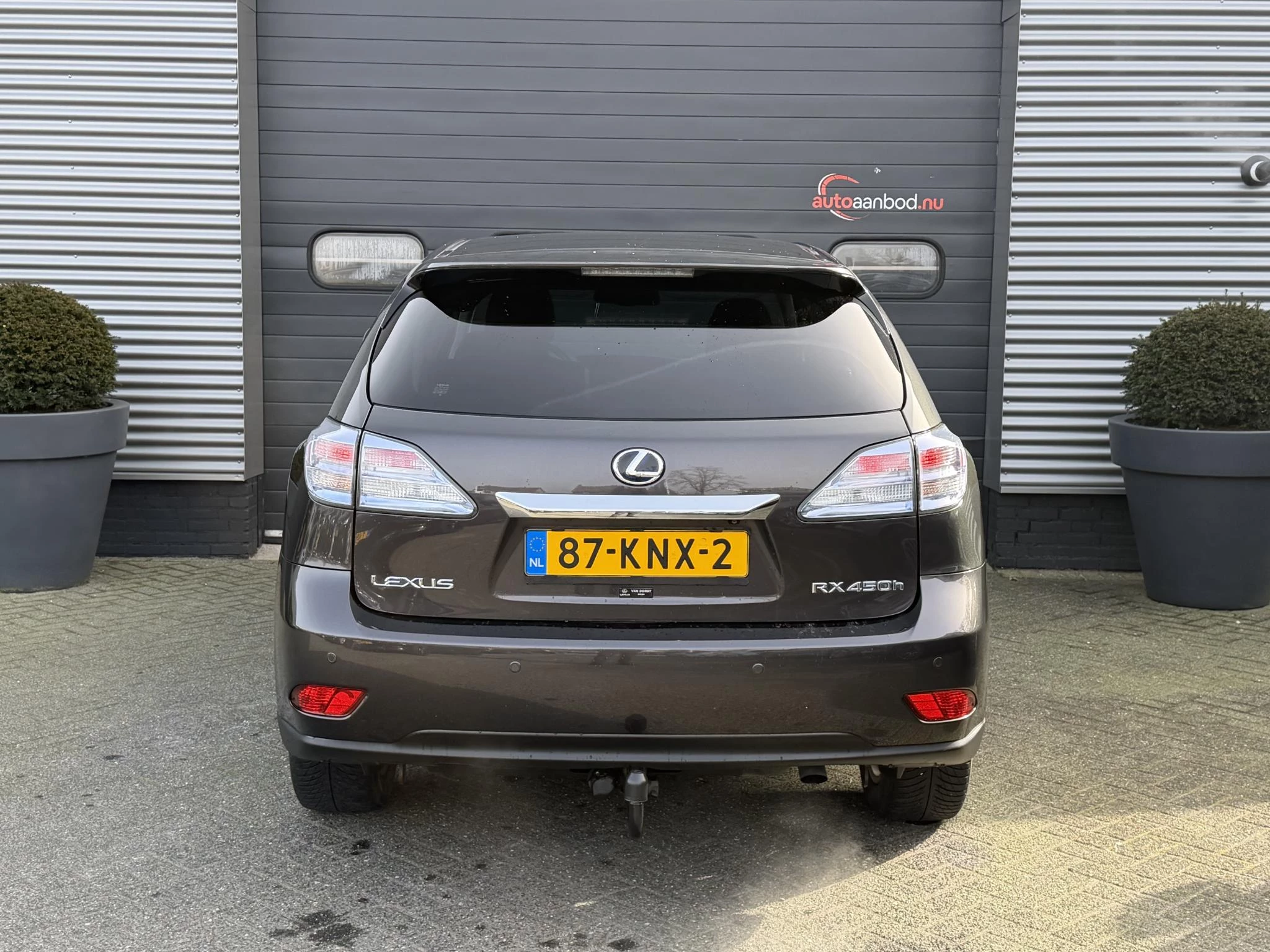 Hoofdafbeelding Lexus RX
