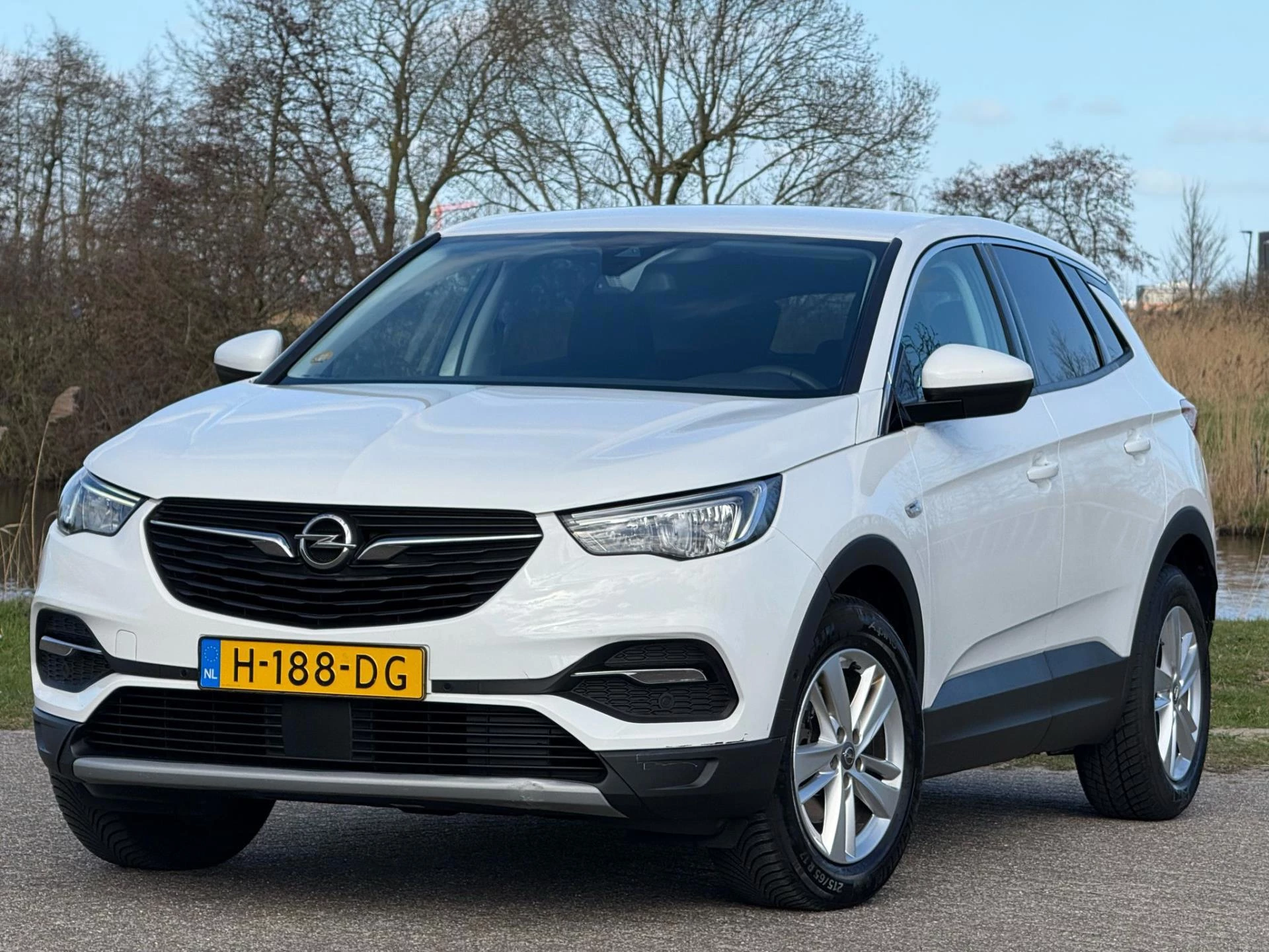 Hoofdafbeelding Opel Grandland X