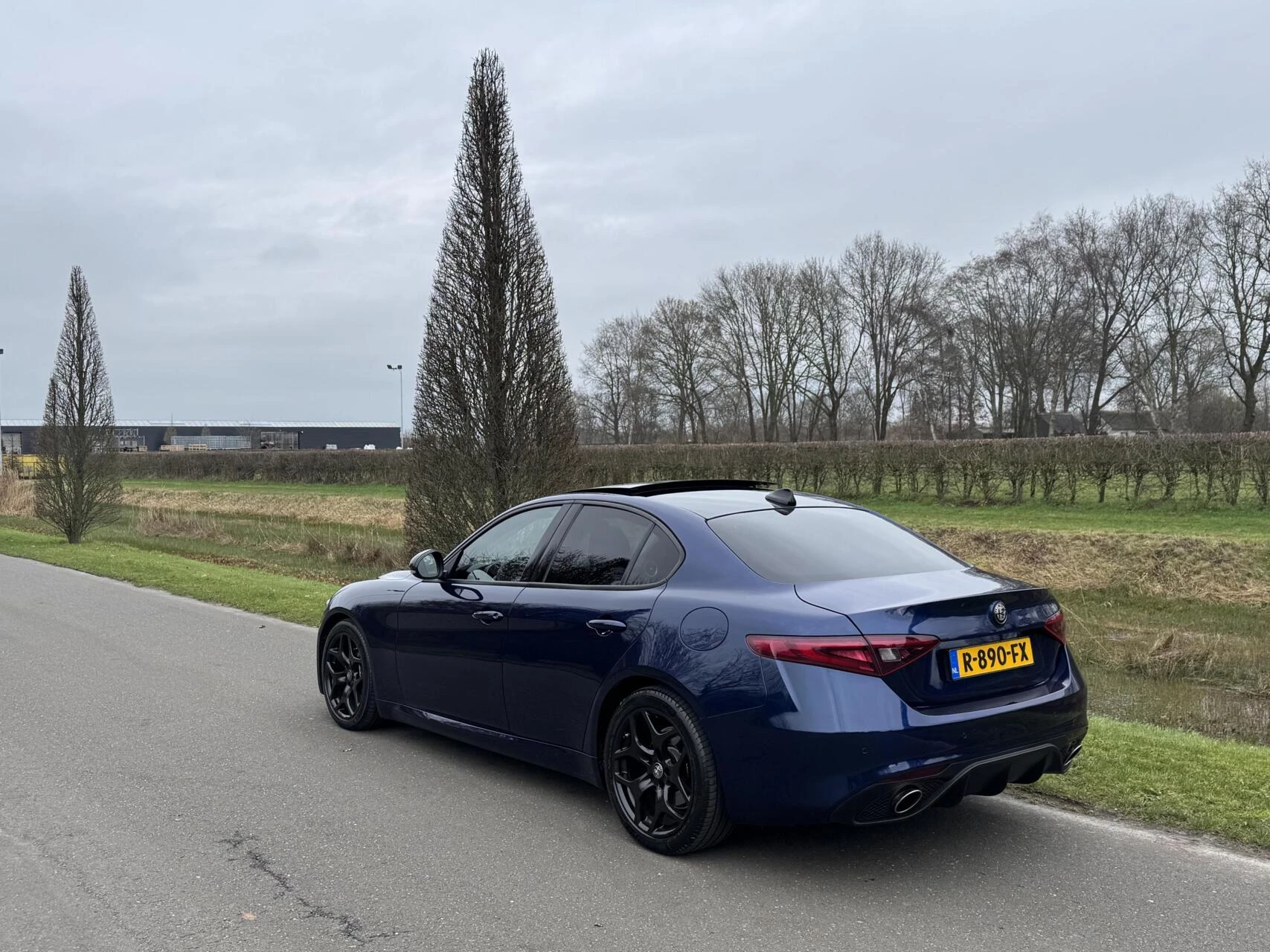 Hoofdafbeelding Alfa Romeo Giulia