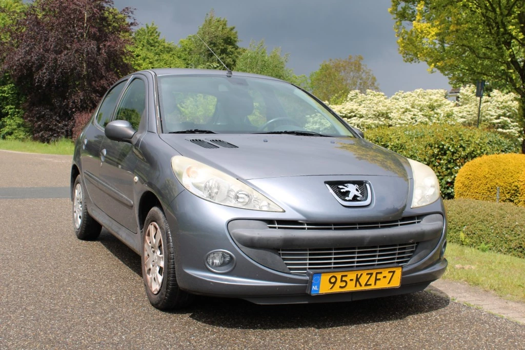 Hoofdafbeelding Peugeot 206