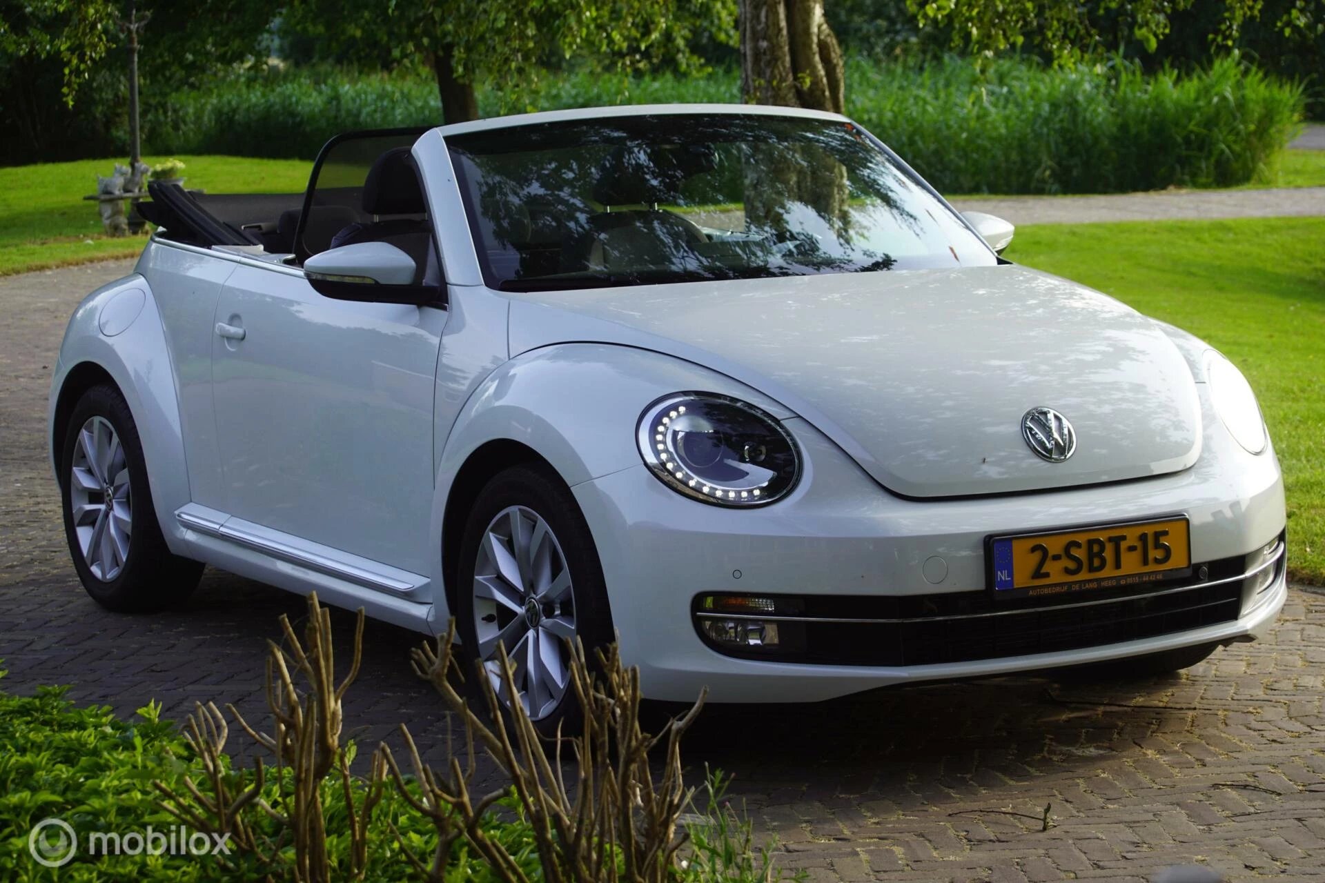 Hoofdafbeelding Volkswagen Beetle