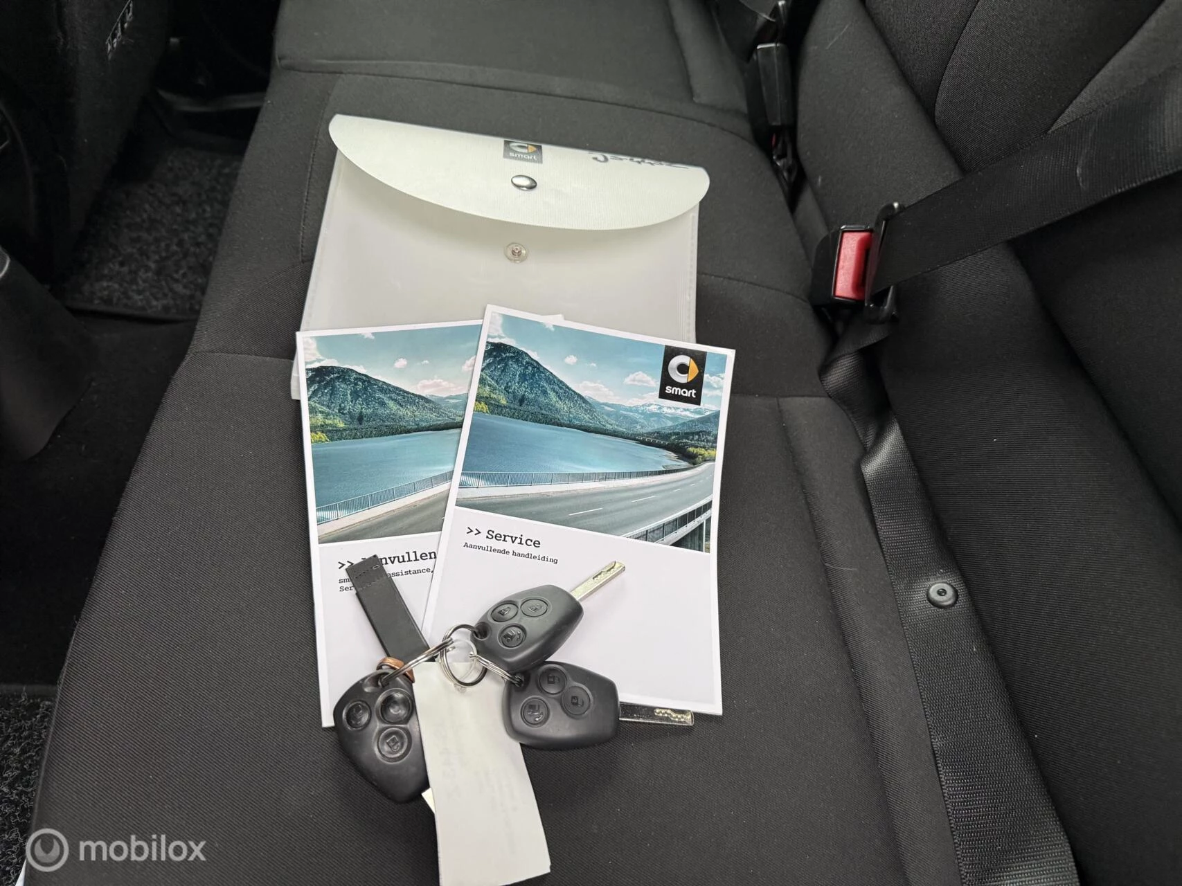 Hoofdafbeelding smart Forfour