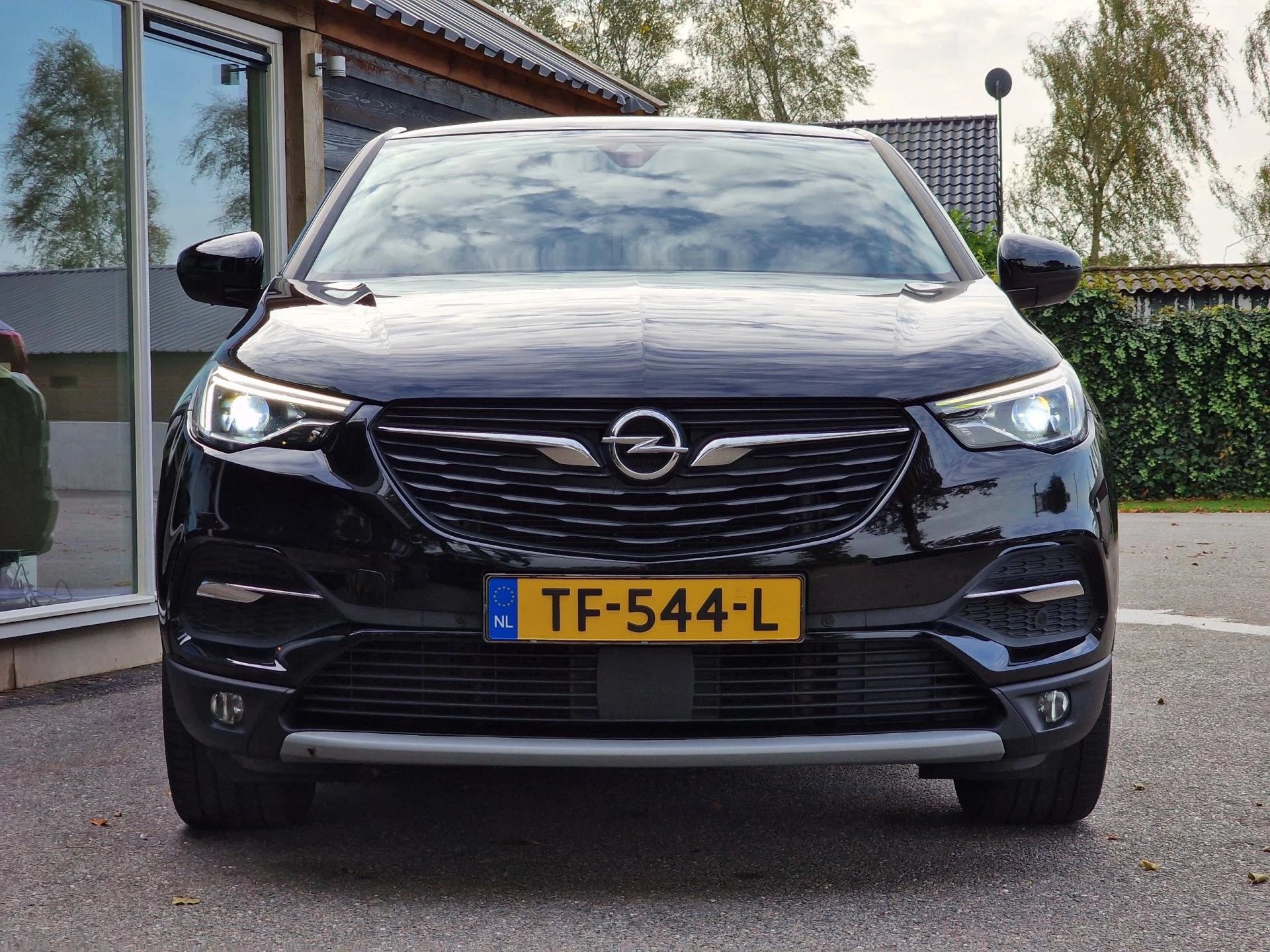 Hoofdafbeelding Opel Grandland X