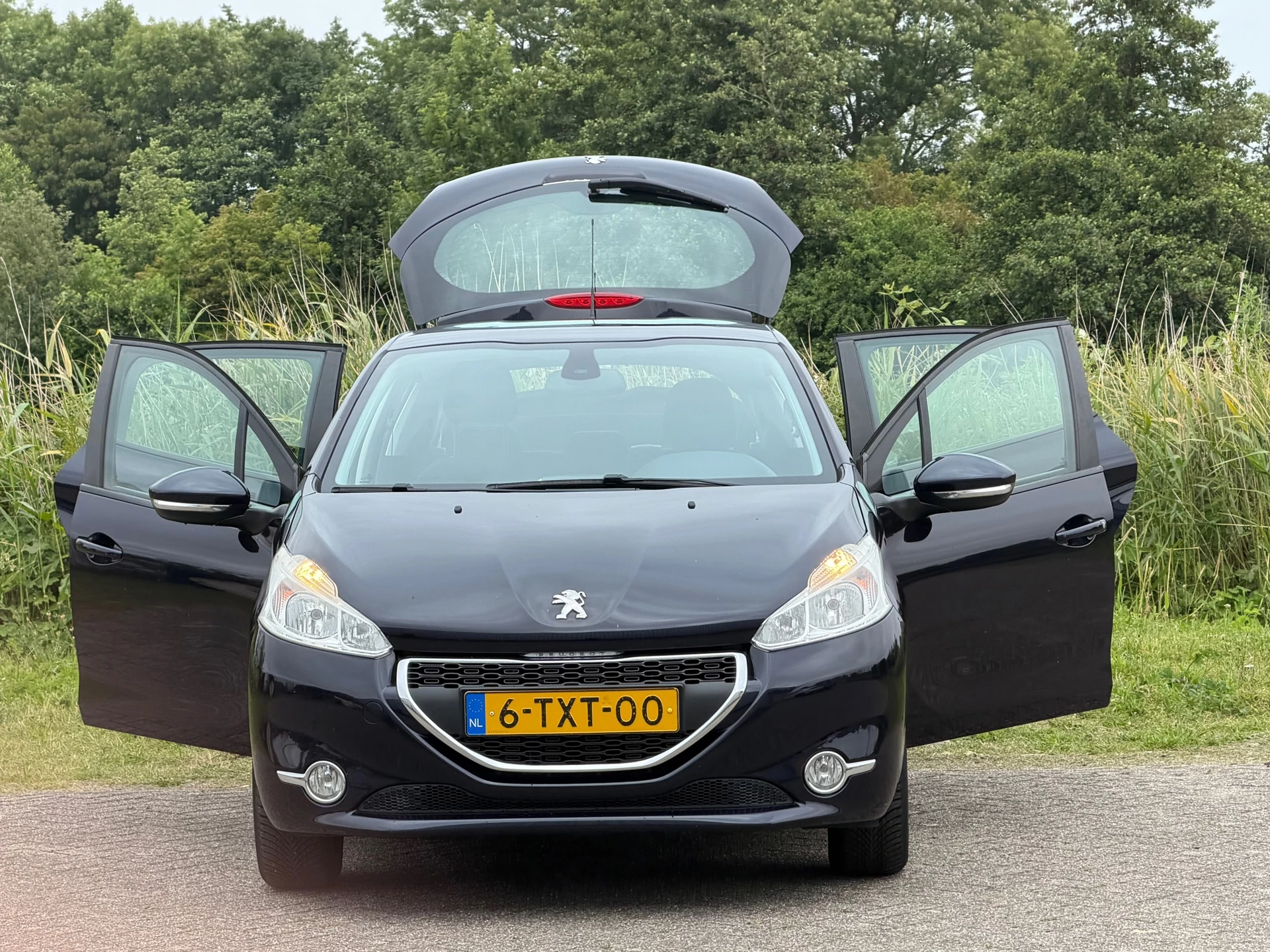 Hoofdafbeelding Peugeot 208