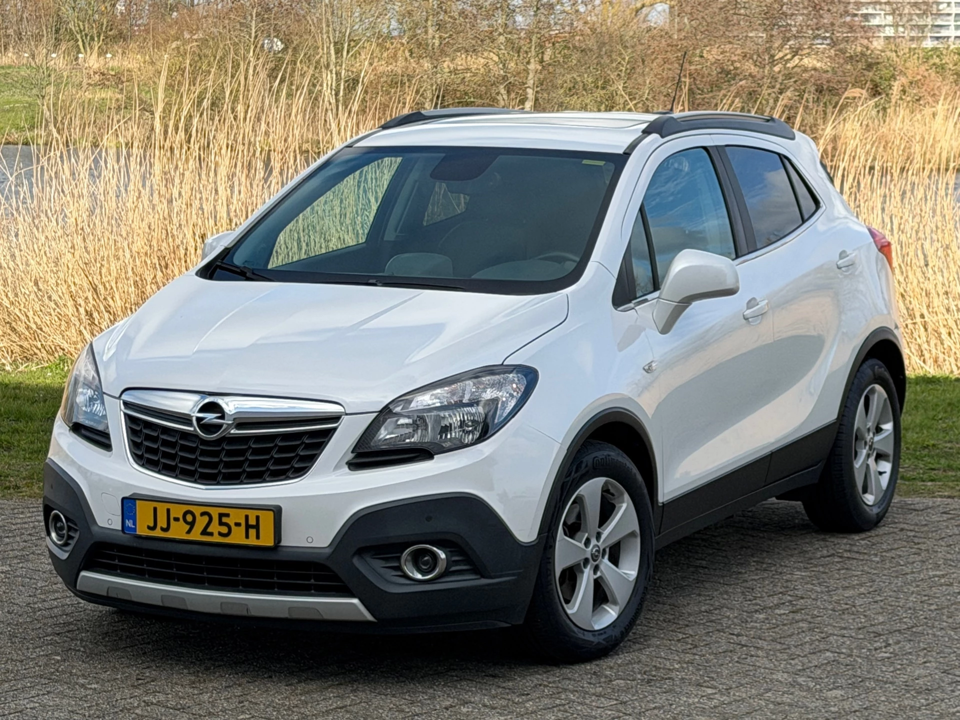 Hoofdafbeelding Opel Mokka