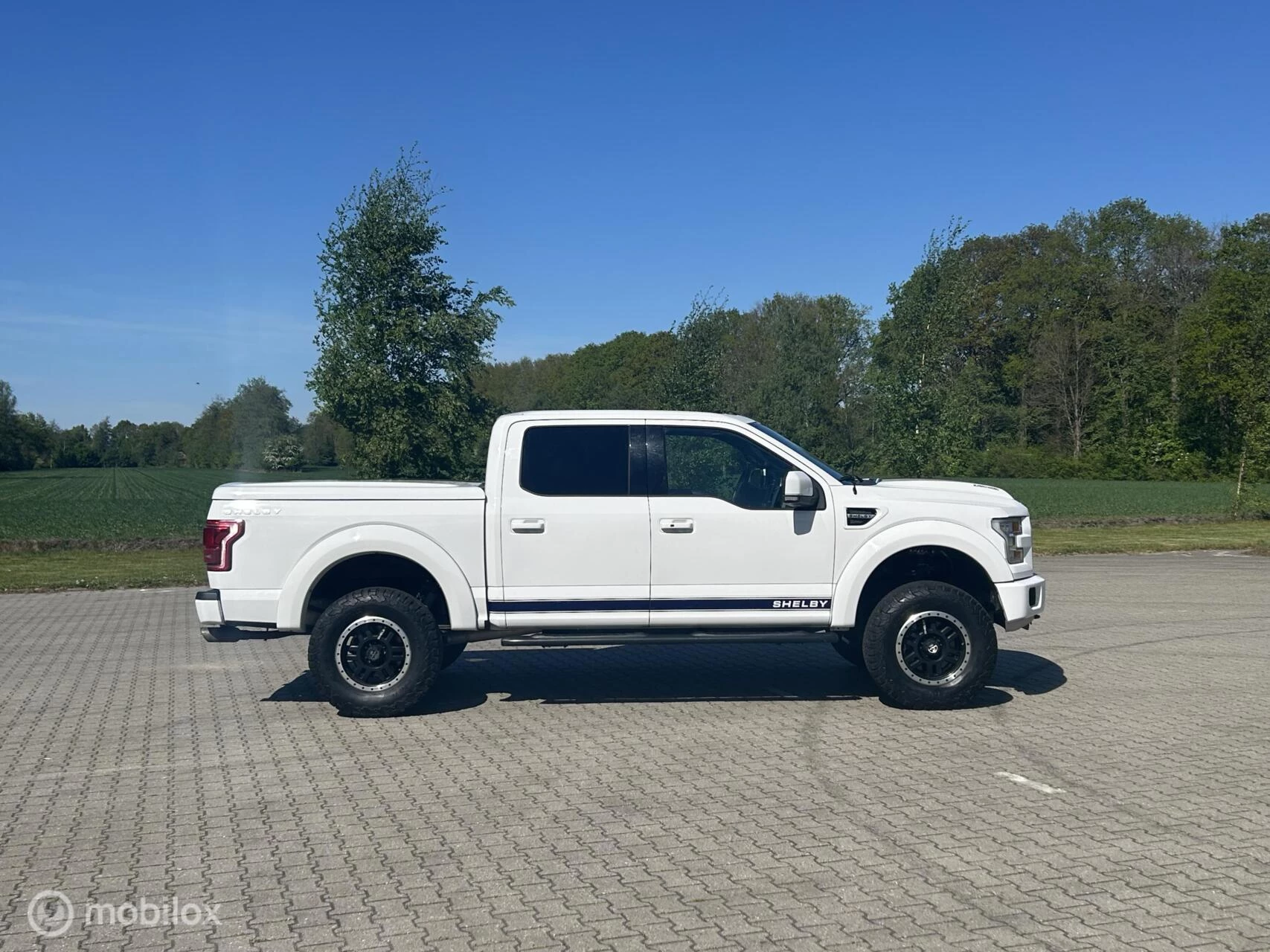 Hoofdafbeelding Ford F-150