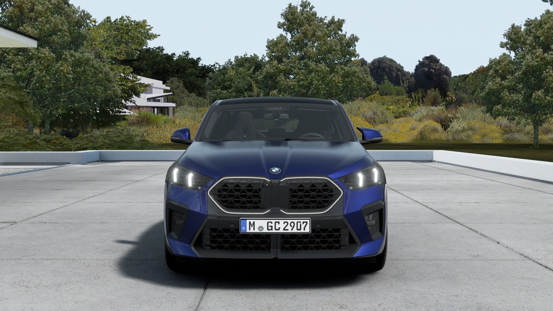 Hoofdafbeelding BMW X2