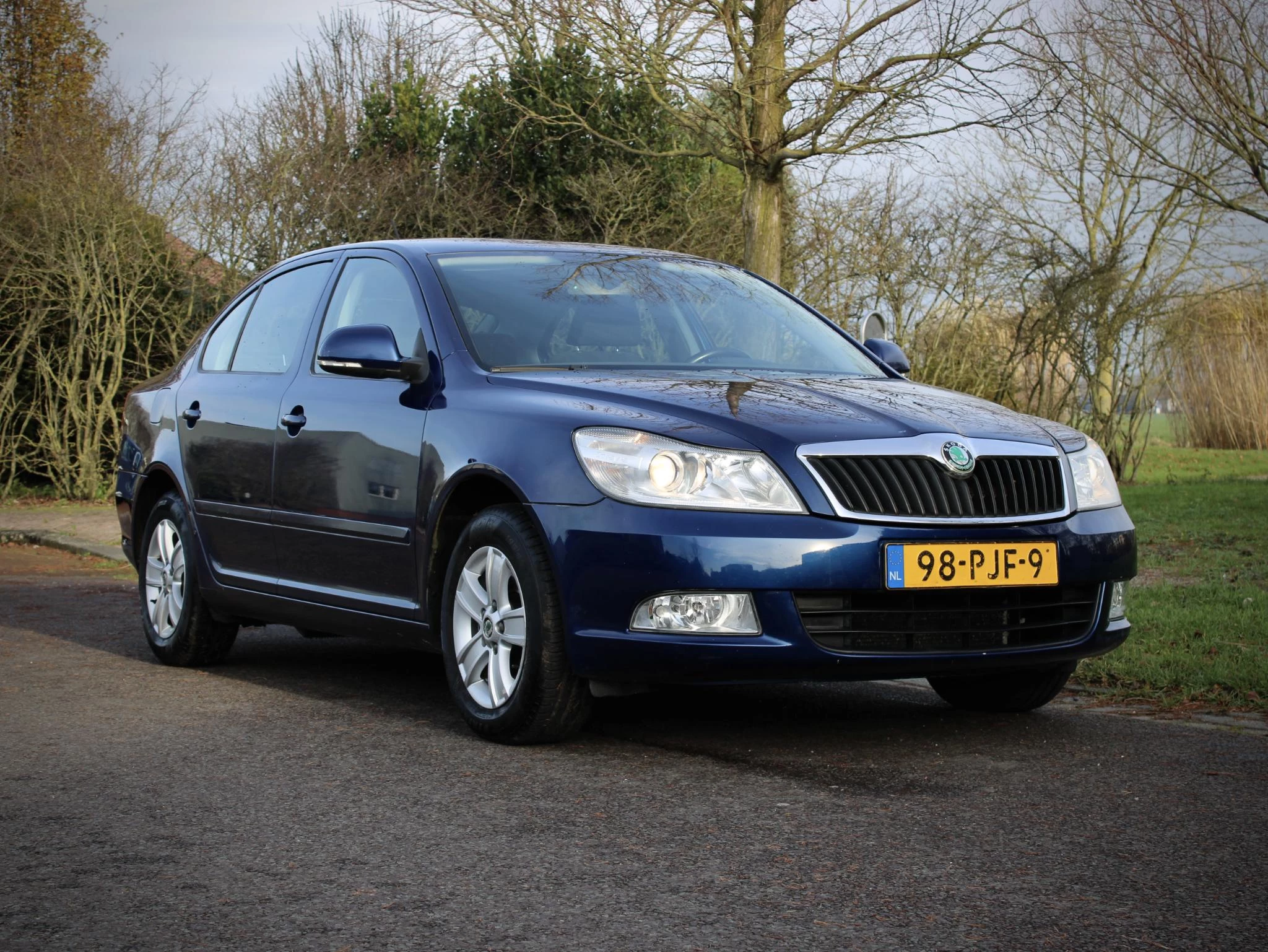 Hoofdafbeelding Škoda Octavia