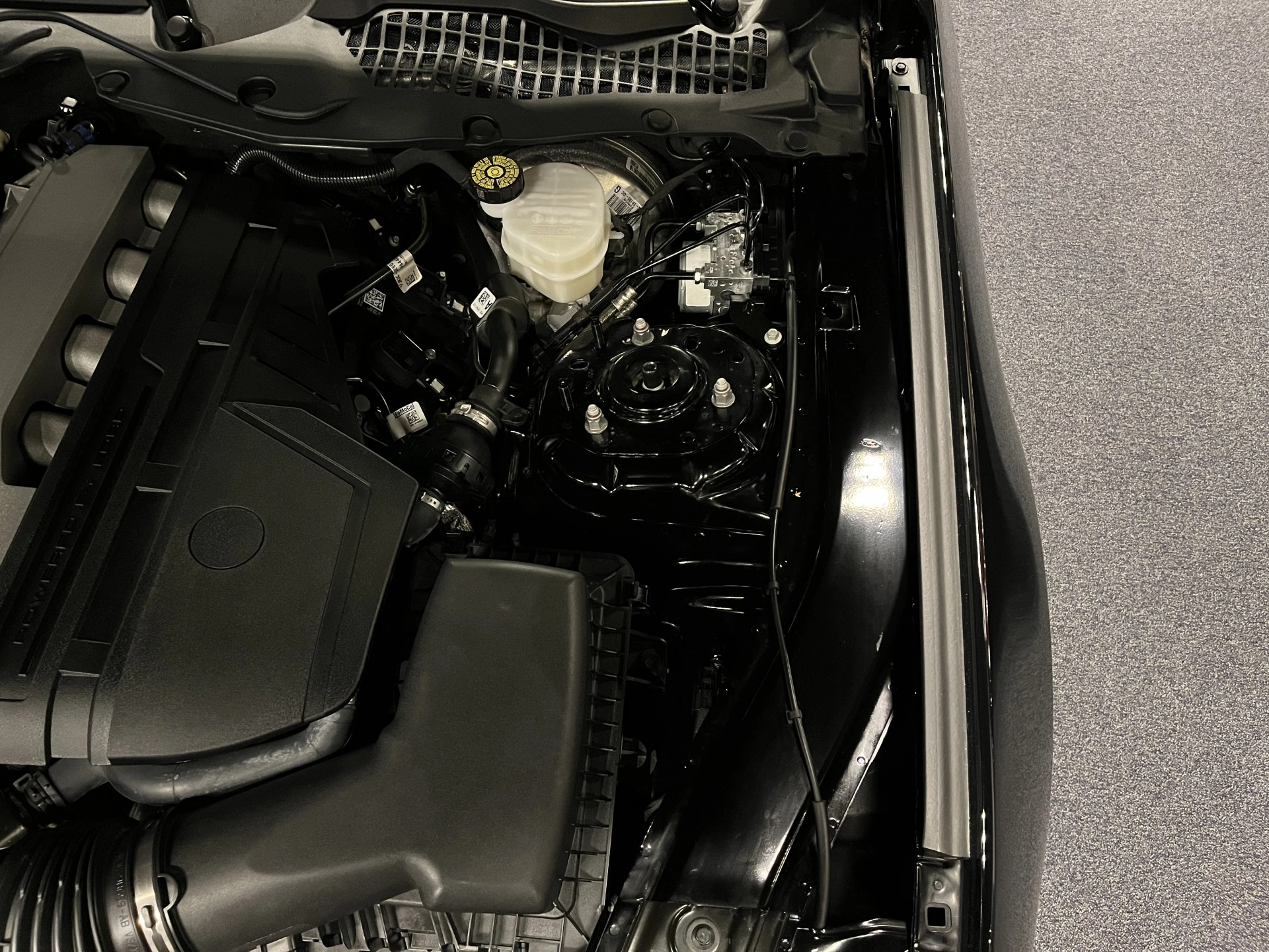 Hoofdafbeelding Ford Mustang