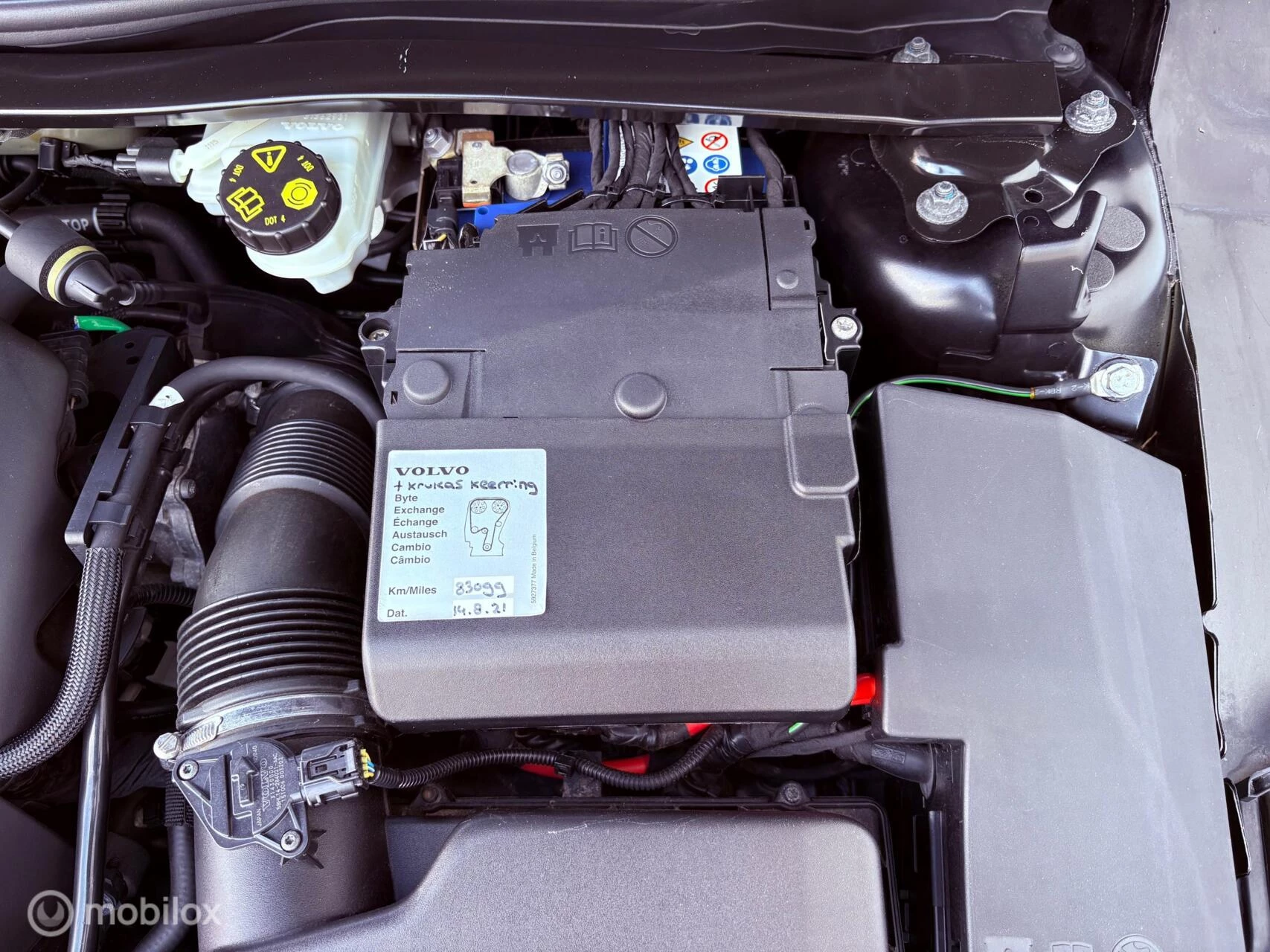 Hoofdafbeelding Volvo V40