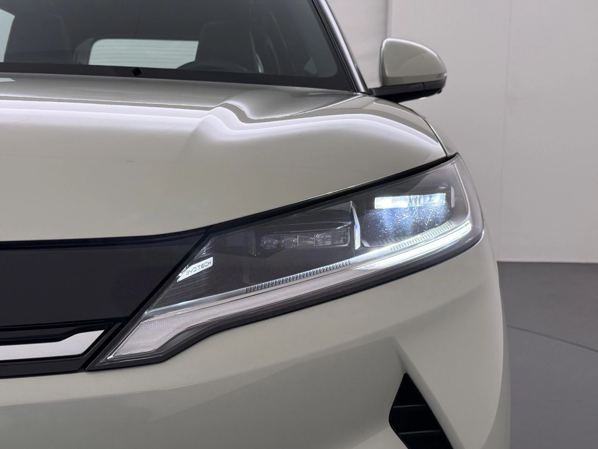 Hoofdafbeelding BYD ATTO 2