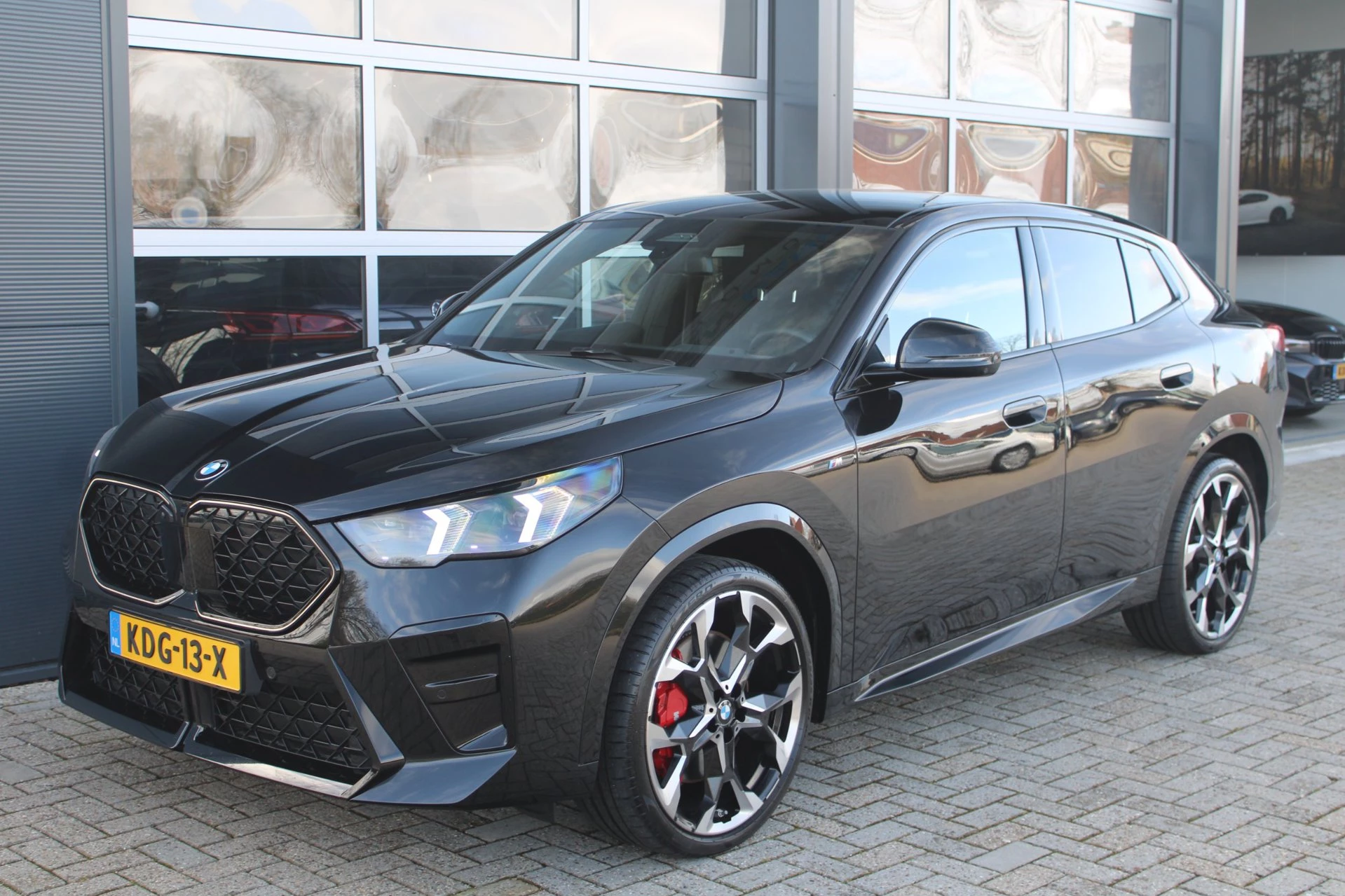 Hoofdafbeelding BMW X2