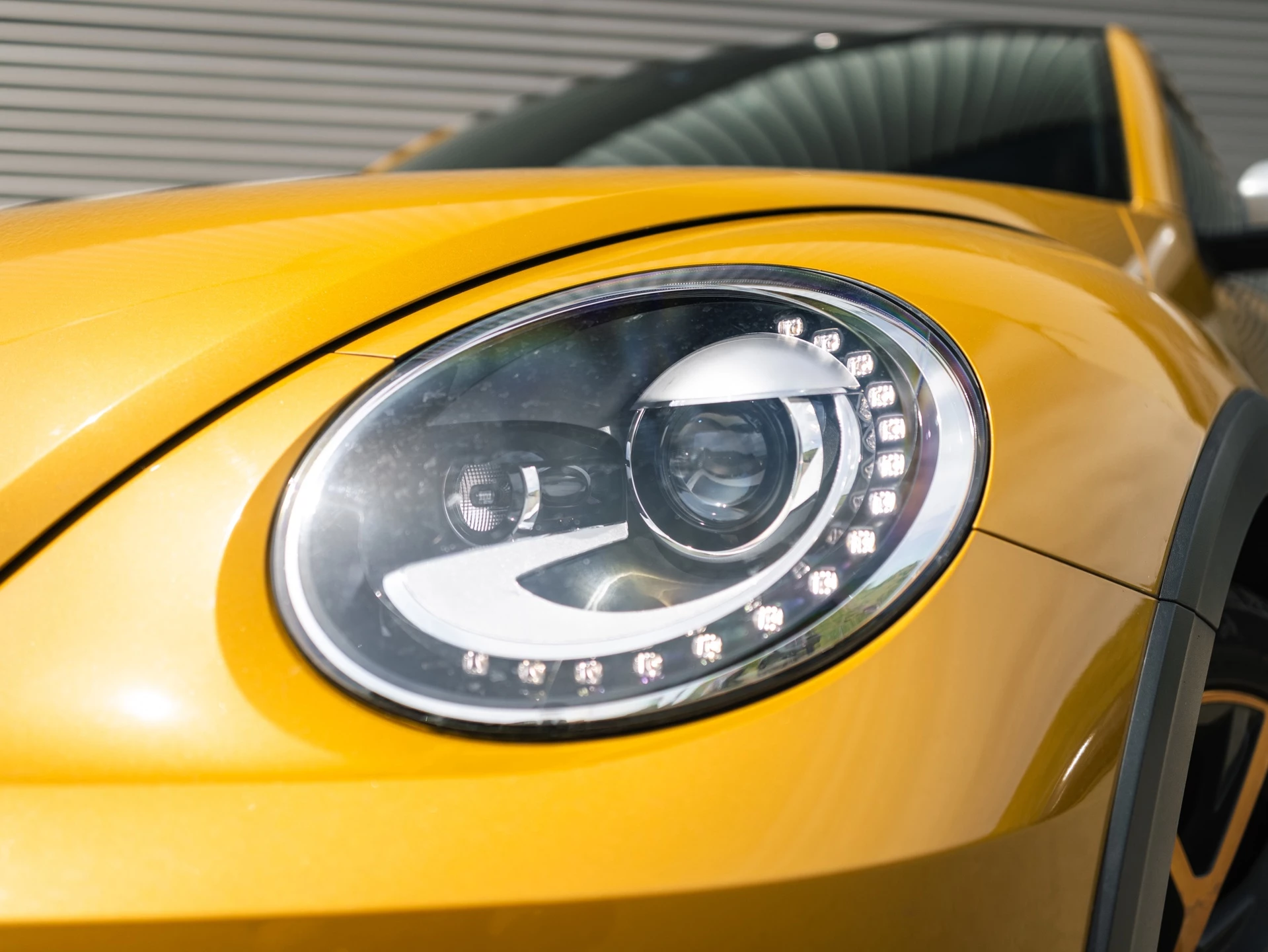 Hoofdafbeelding Volkswagen Beetle