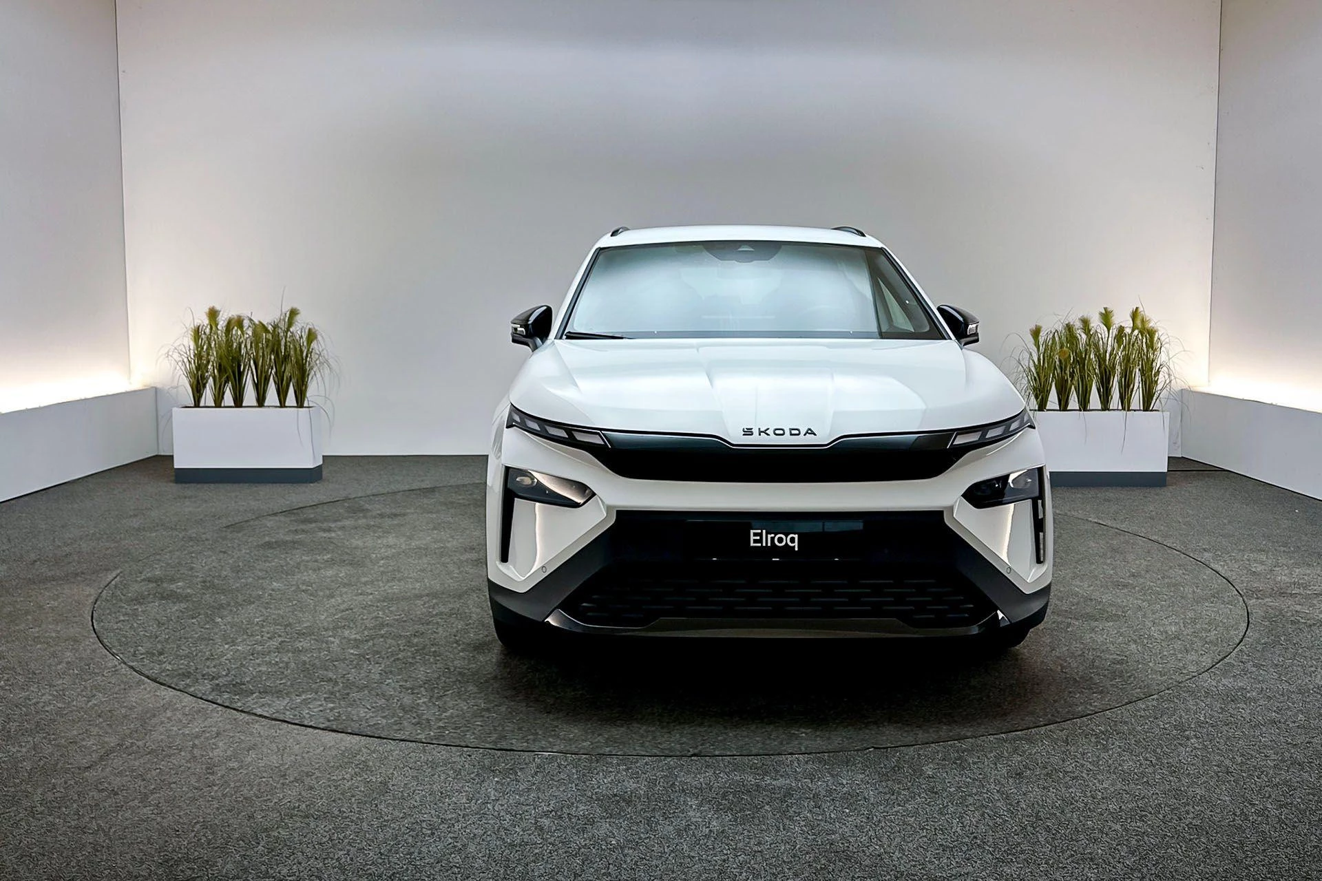 Hoofdafbeelding Škoda Elroq