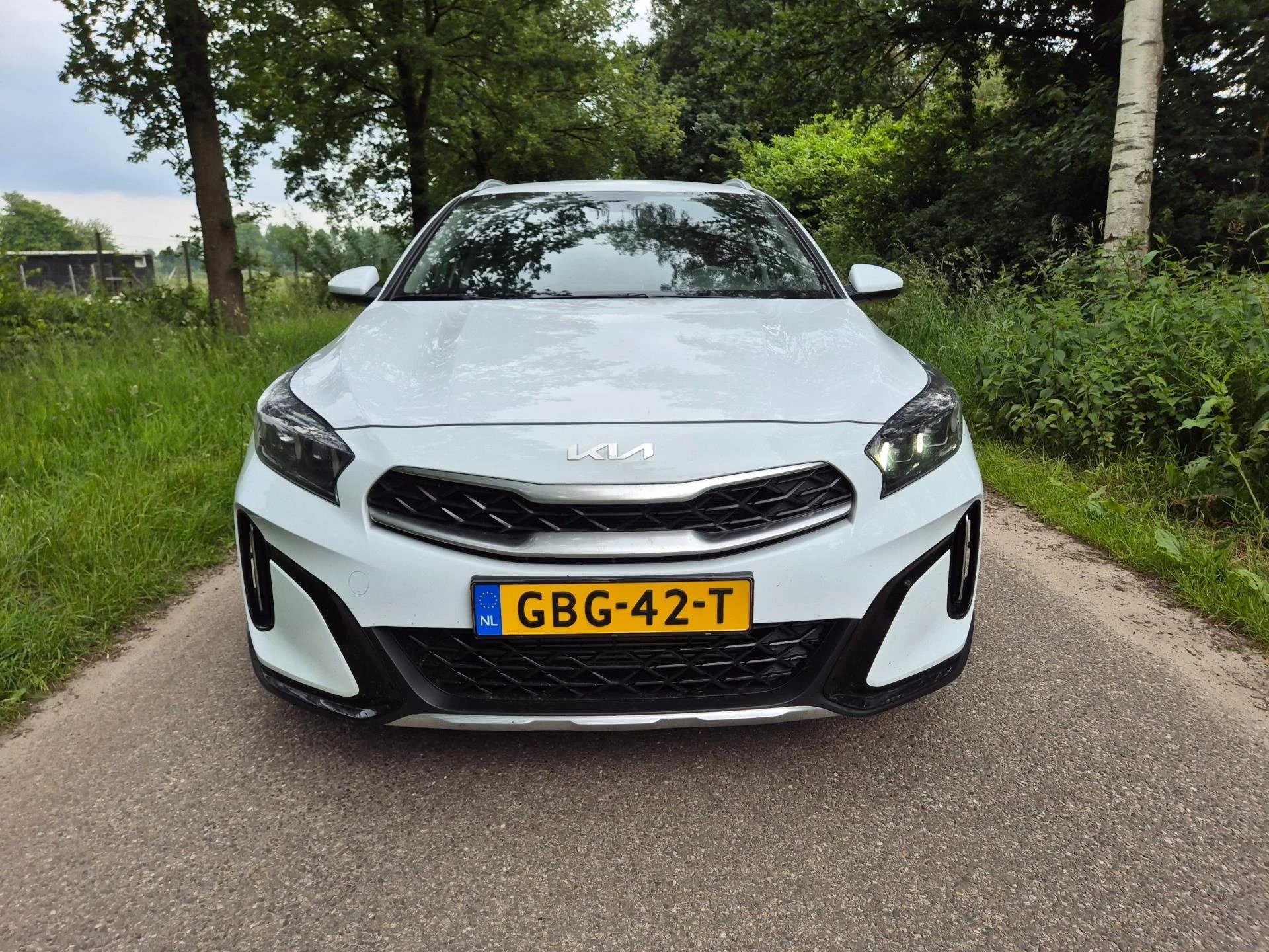 Hoofdafbeelding Kia XCeed