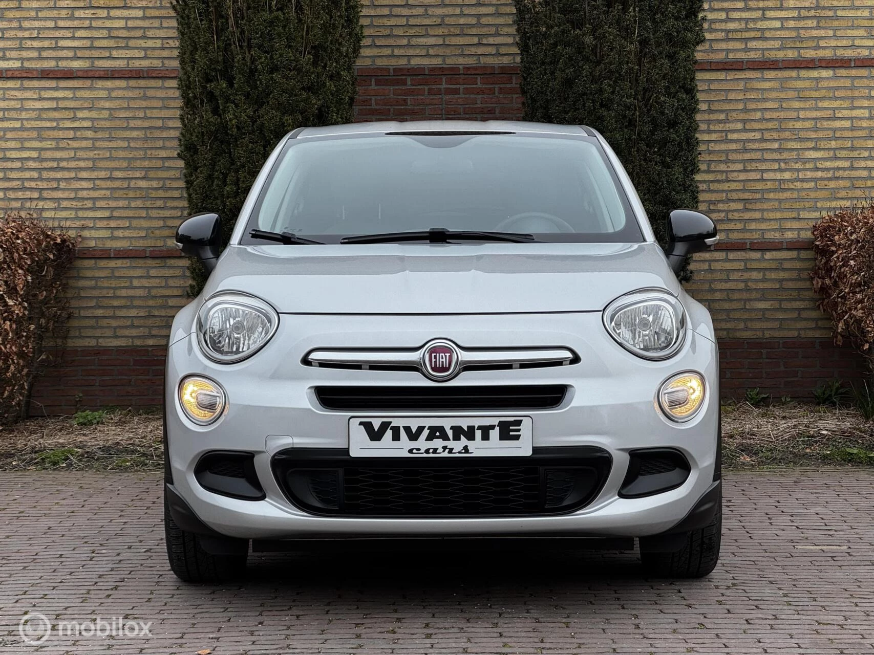 Hoofdafbeelding Fiat 500X