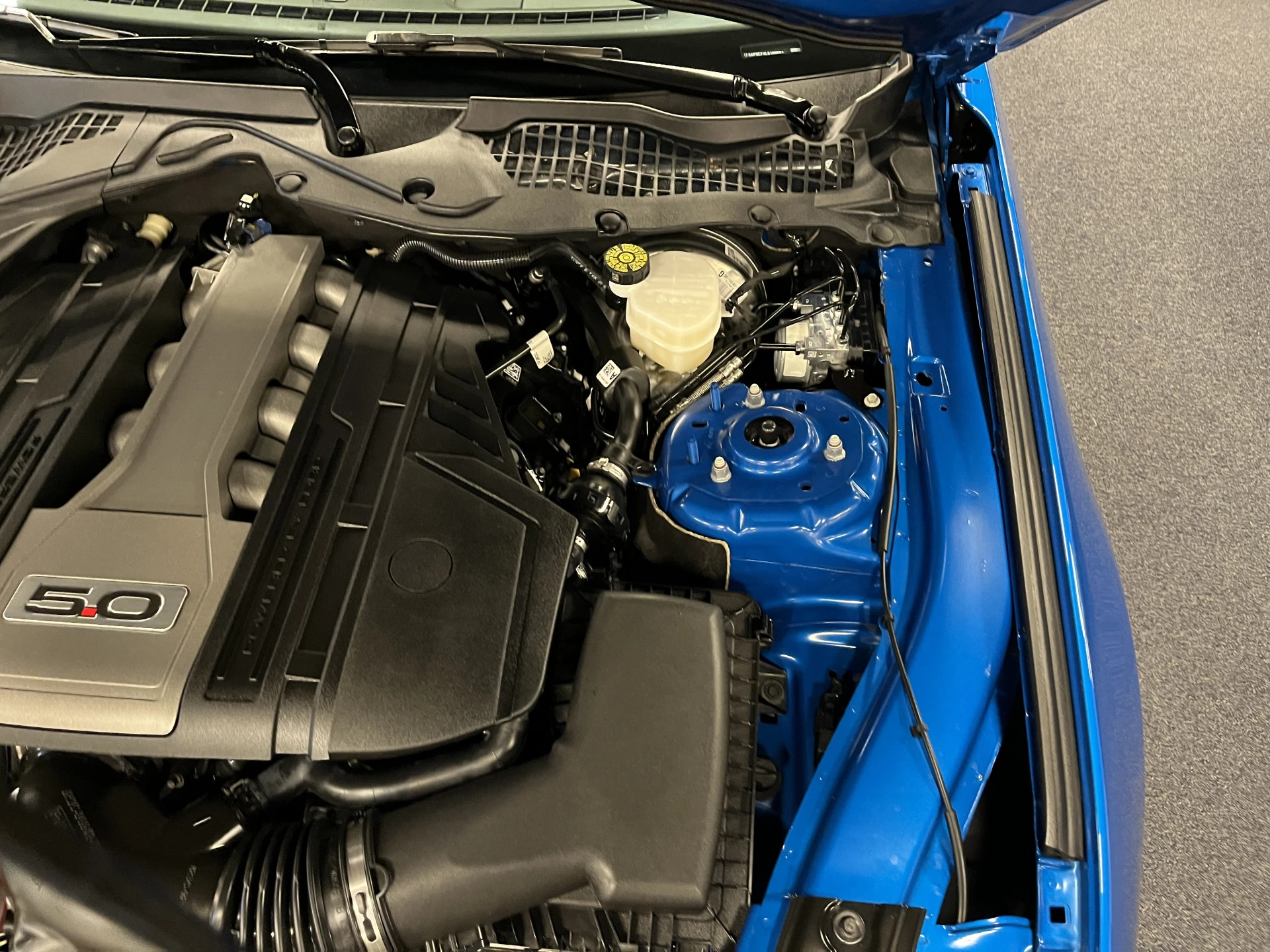 Hoofdafbeelding Ford Mustang