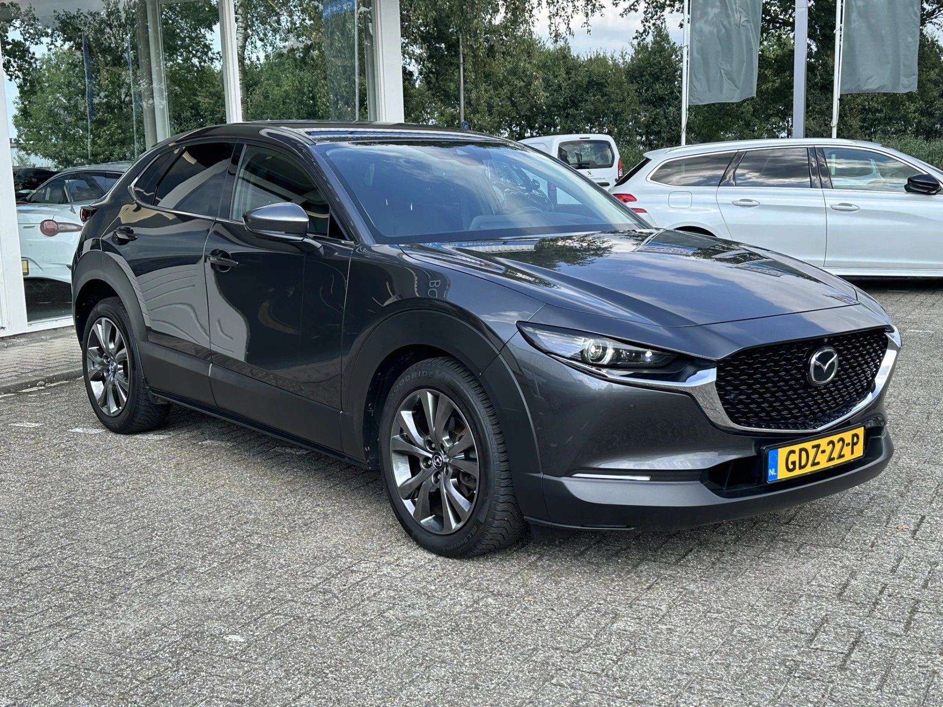 Hoofdafbeelding Mazda CX-30