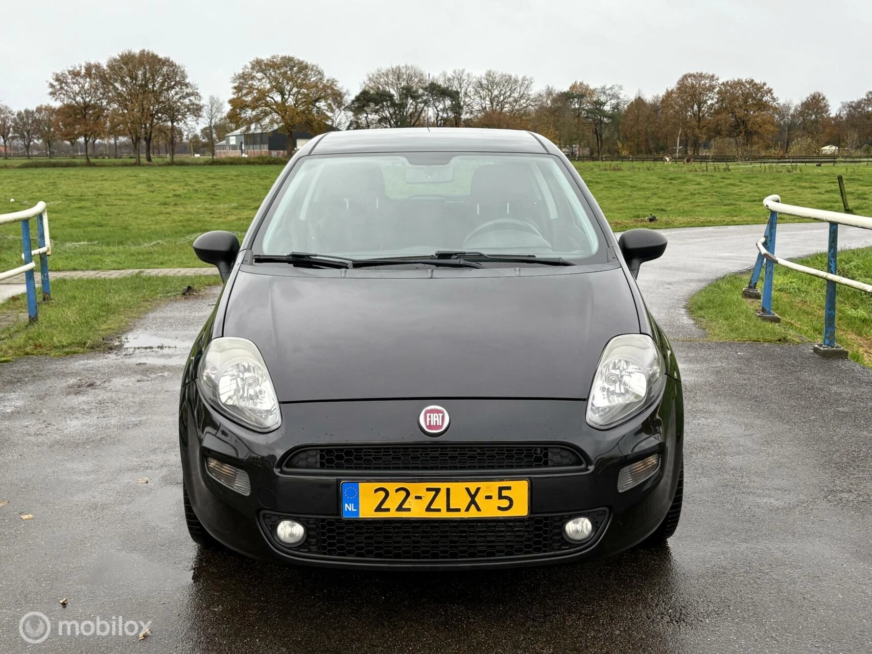 Hoofdafbeelding Fiat Punto
