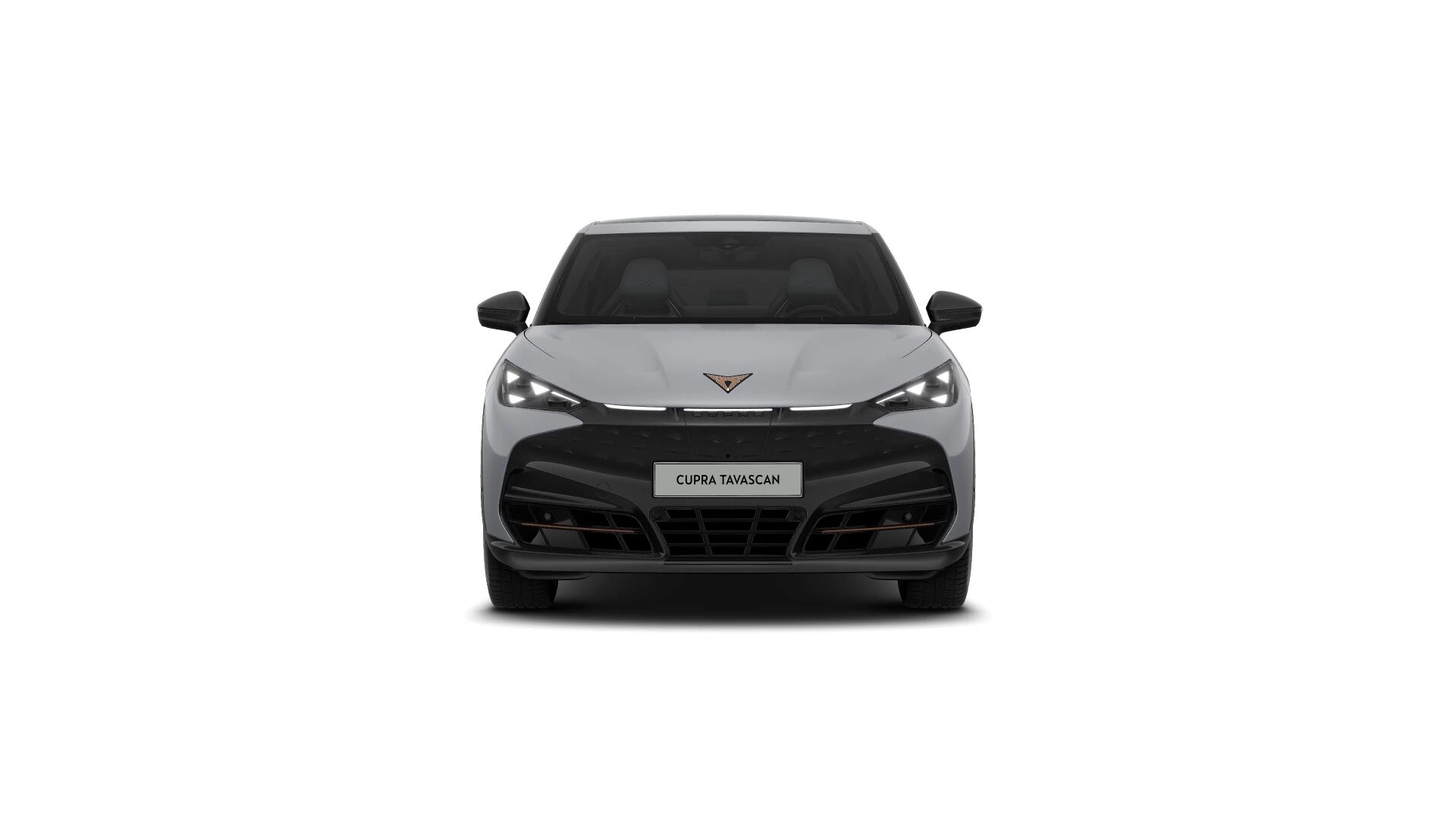 Hoofdafbeelding CUPRA Tavascan