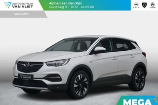 Opel Grandland X 1.2 Turbo Business Executive Winterpakket | Adap. Cruise Control | Achteruitrijcamera | Elek. Achterklep