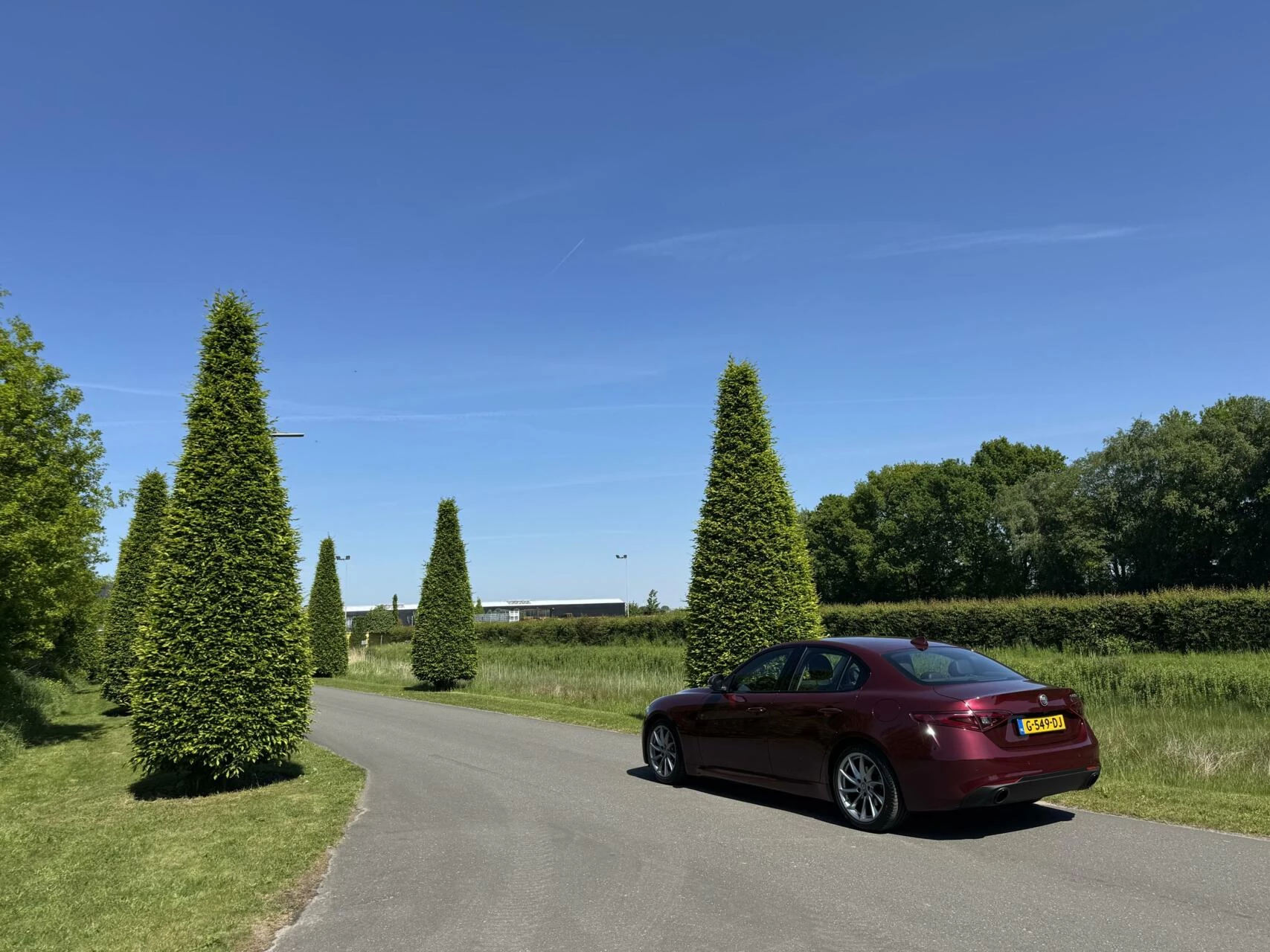 Hoofdafbeelding Alfa Romeo Giulia