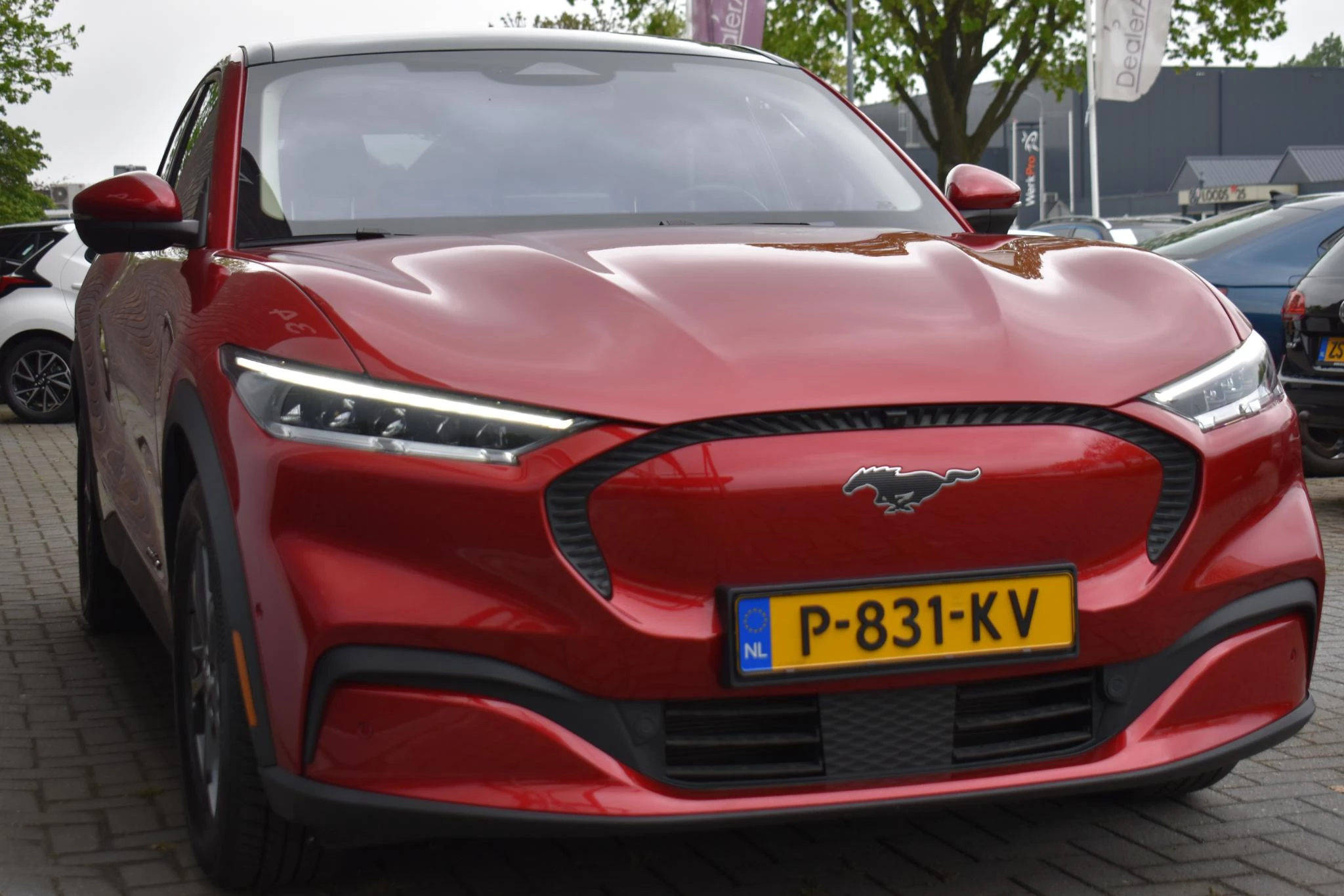 Hoofdafbeelding Ford Mustang Mach-E