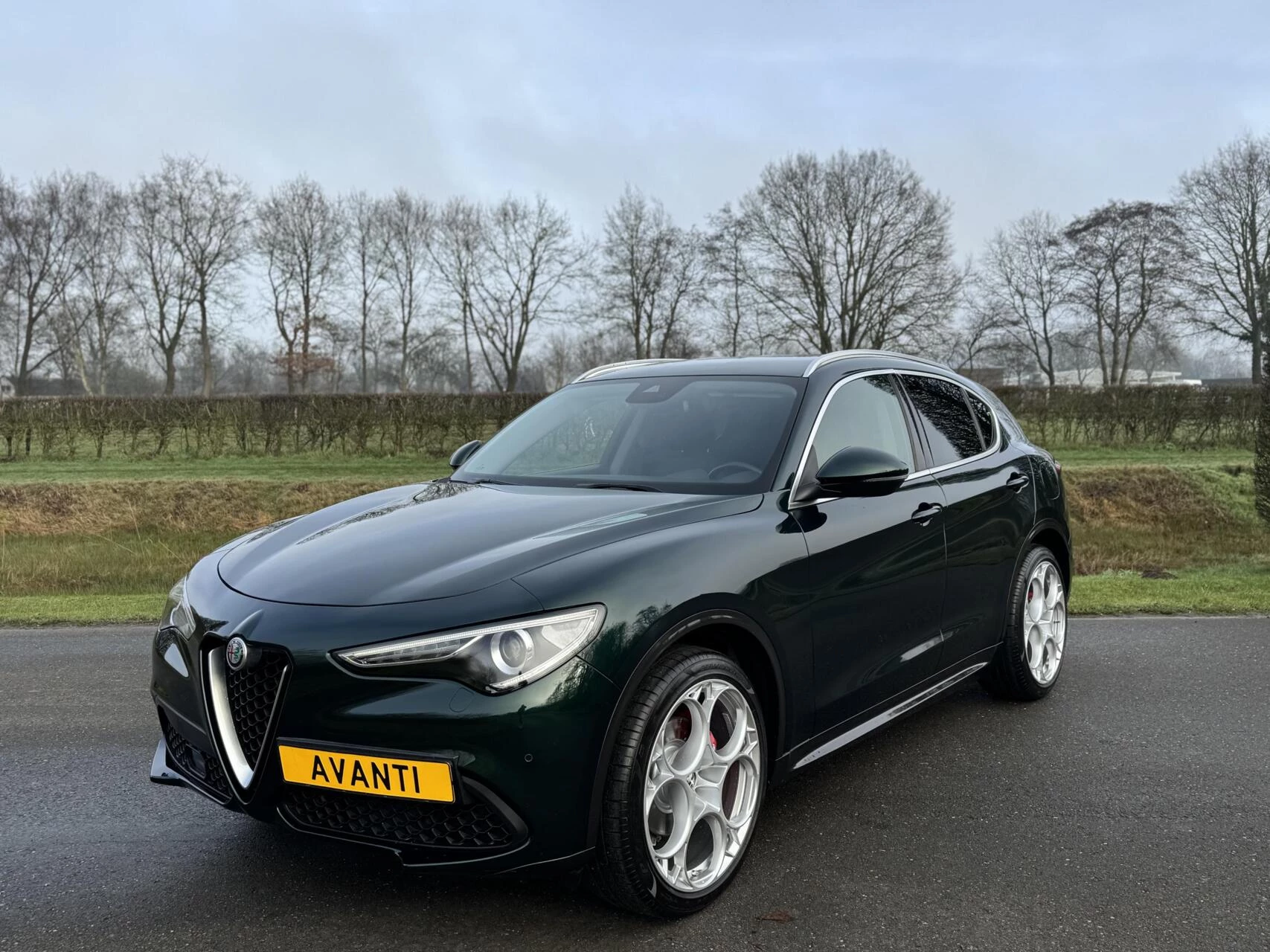 Hoofdafbeelding Alfa Romeo Stelvio