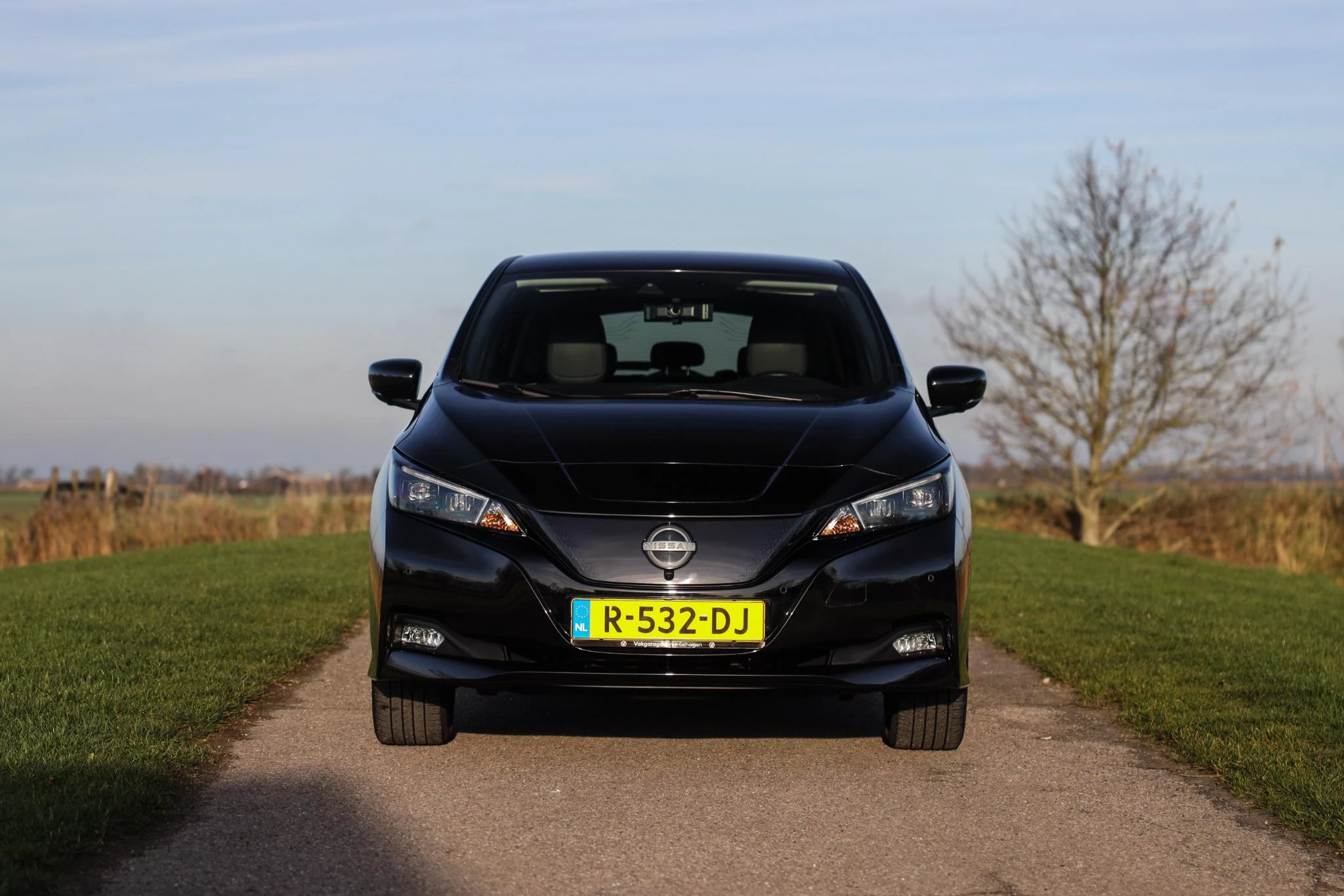 Hoofdafbeelding Nissan Leaf