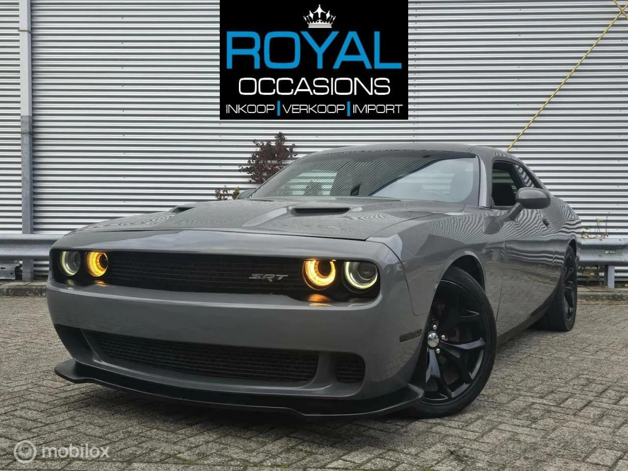 Hoofdafbeelding Dodge Challenger