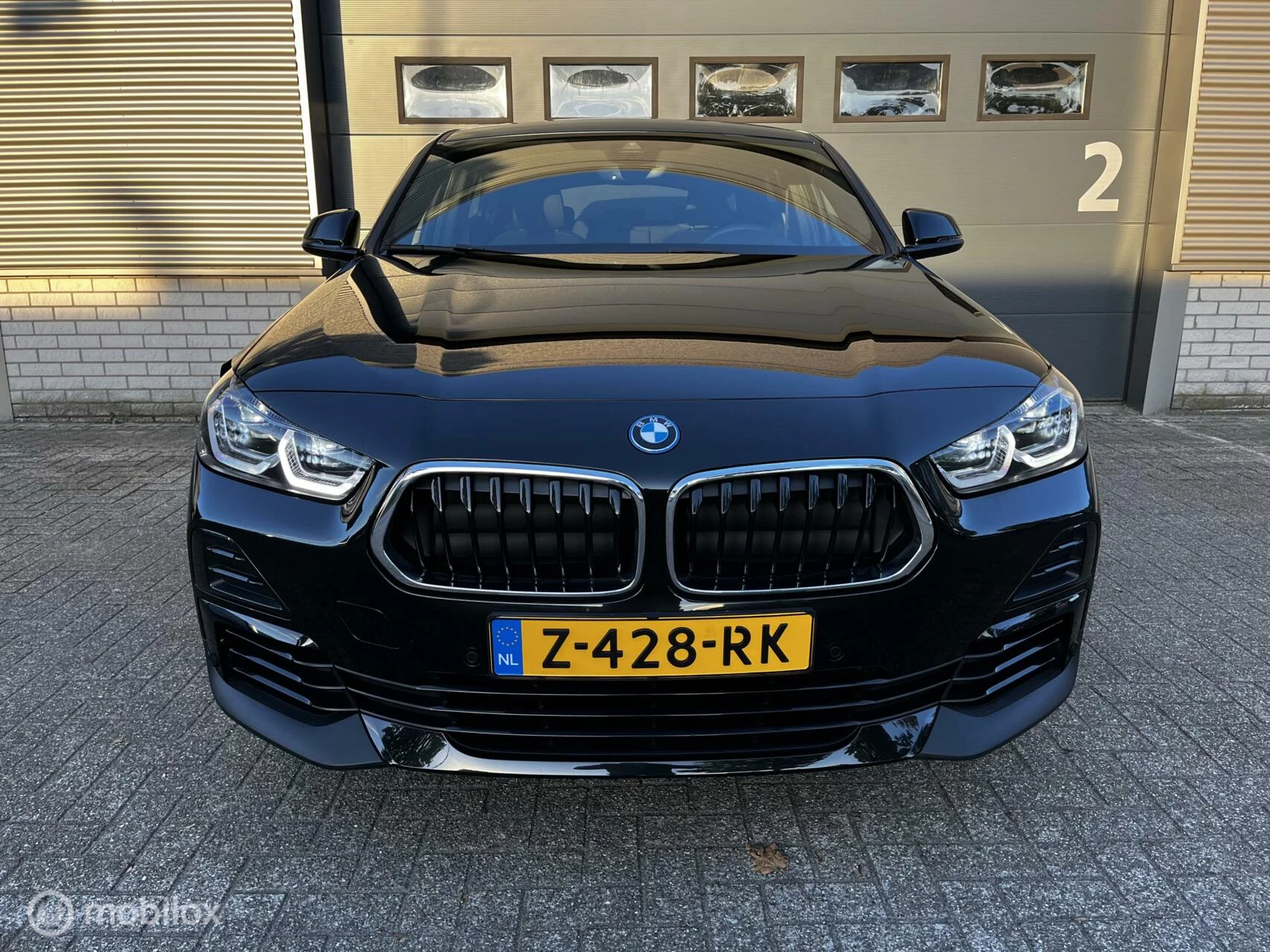 Hoofdafbeelding BMW X2